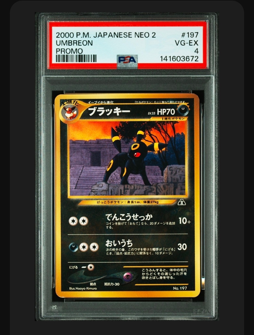 PSA8以下】ブラッキープレミアムファイル2: 旧裏[neoP2 No.197 PSA8以下】ブラッキープレミアムファイル2: 旧裏[neoP2 No.197
