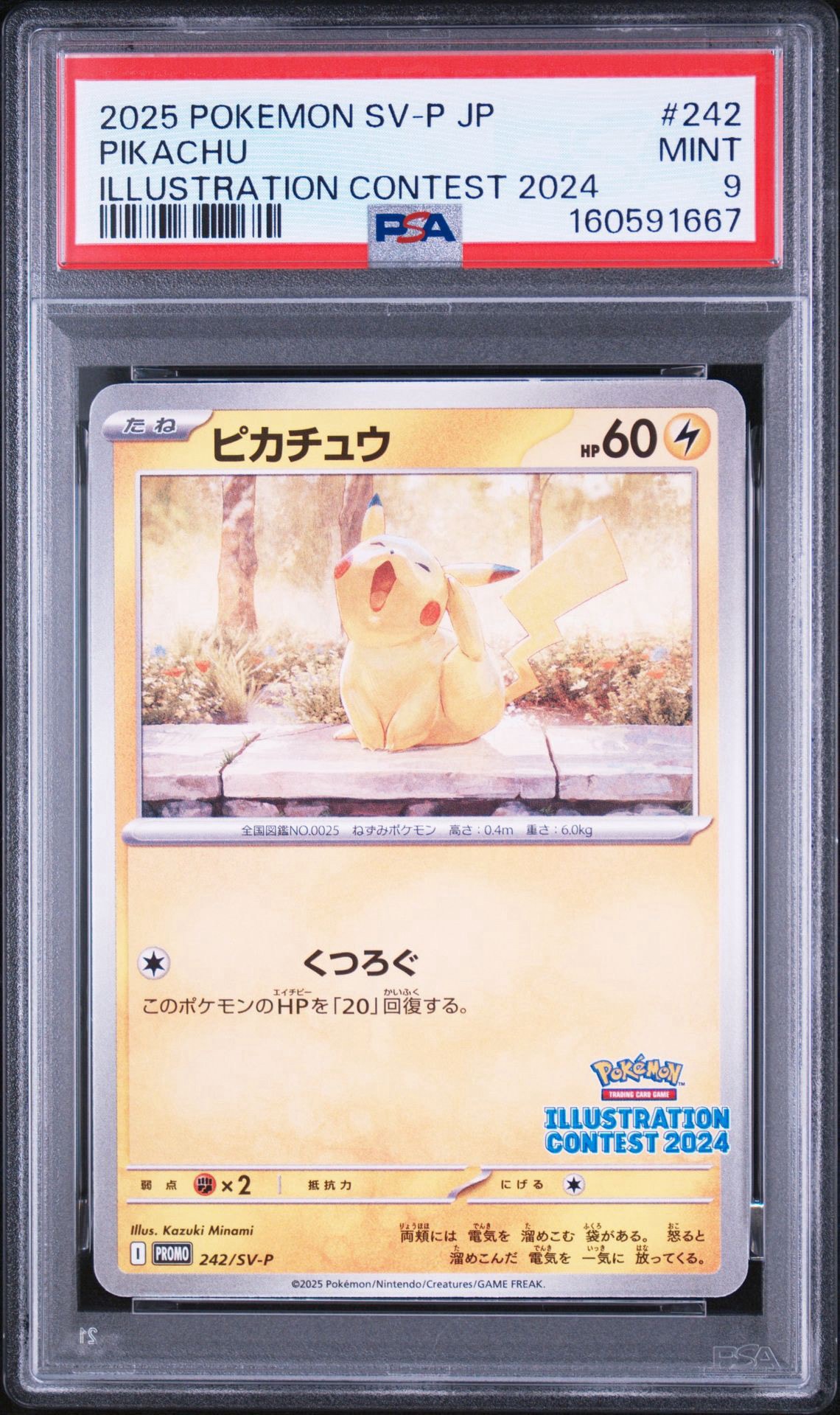 ピカチュウ [SV-P 242](プロモカードパック「イラストレーション
