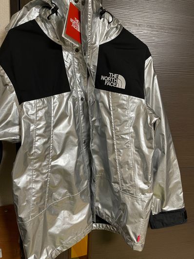 Supreme x The North Face Metallic Mountain Parka "Silver"