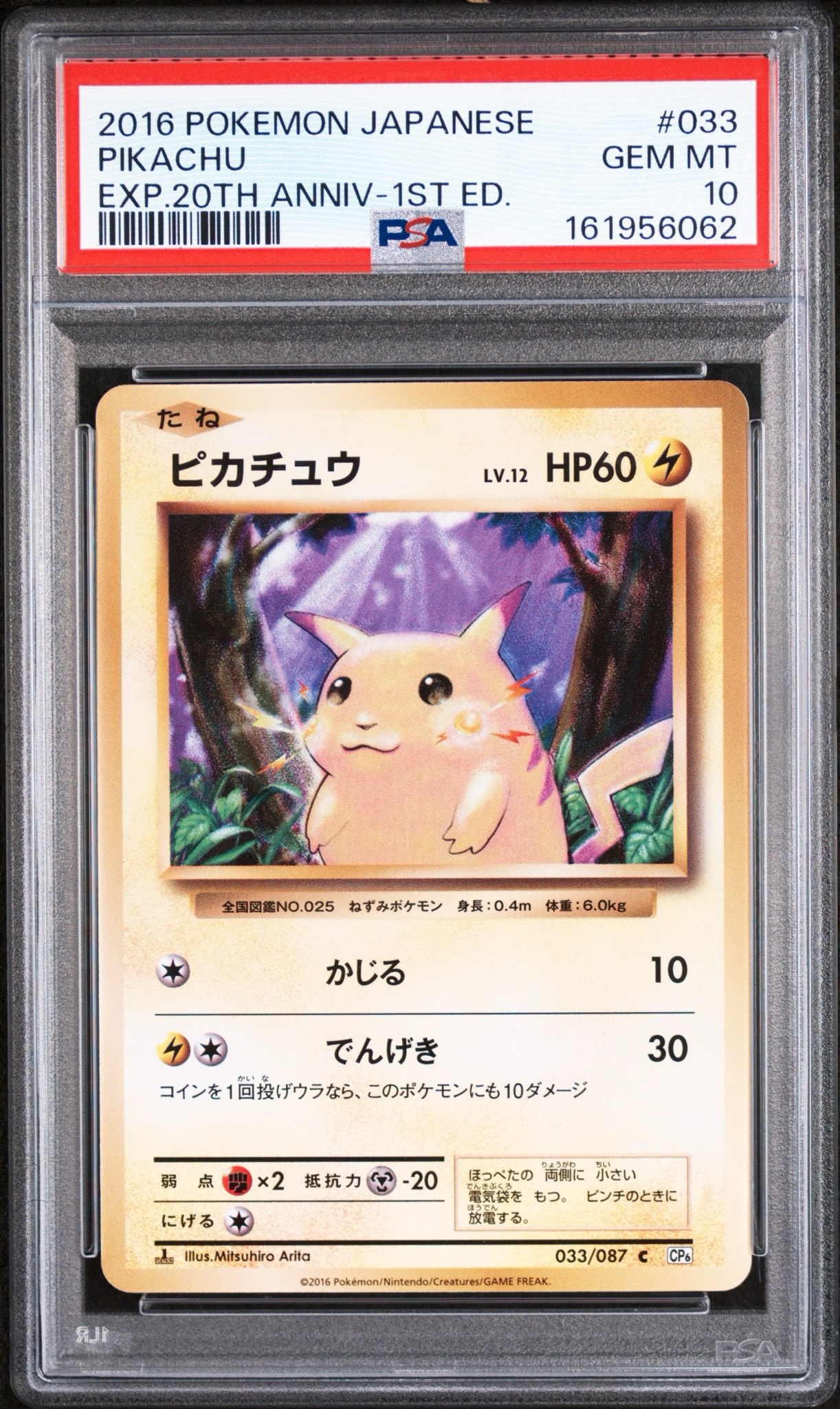 ピカチュウ C :1ED [CP6 033/087](コンセプトパック「ポケットモンスターカードゲーム 拡張パック 20th Anniversary」)