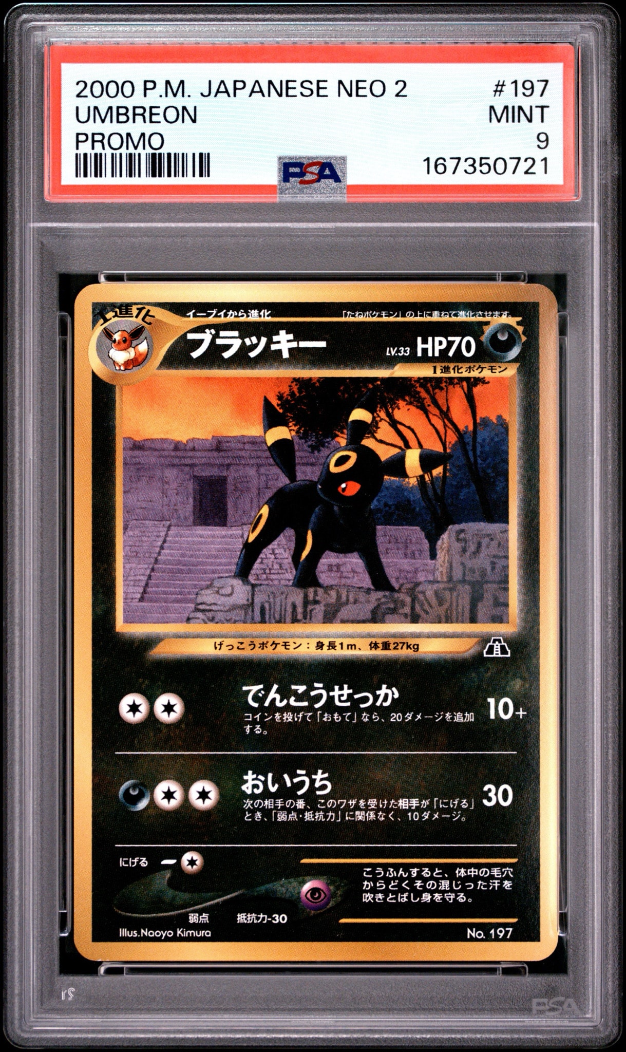 ブラッキー_プレミアムファイル2 PROMO 第2世代（☆neo・☆VS