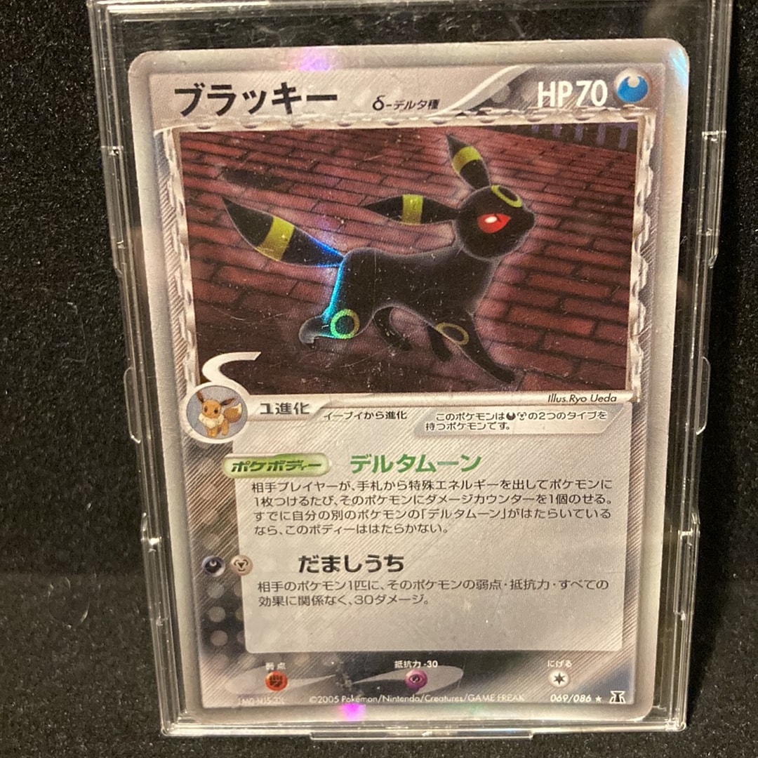 8066709.jpeg?size=m
