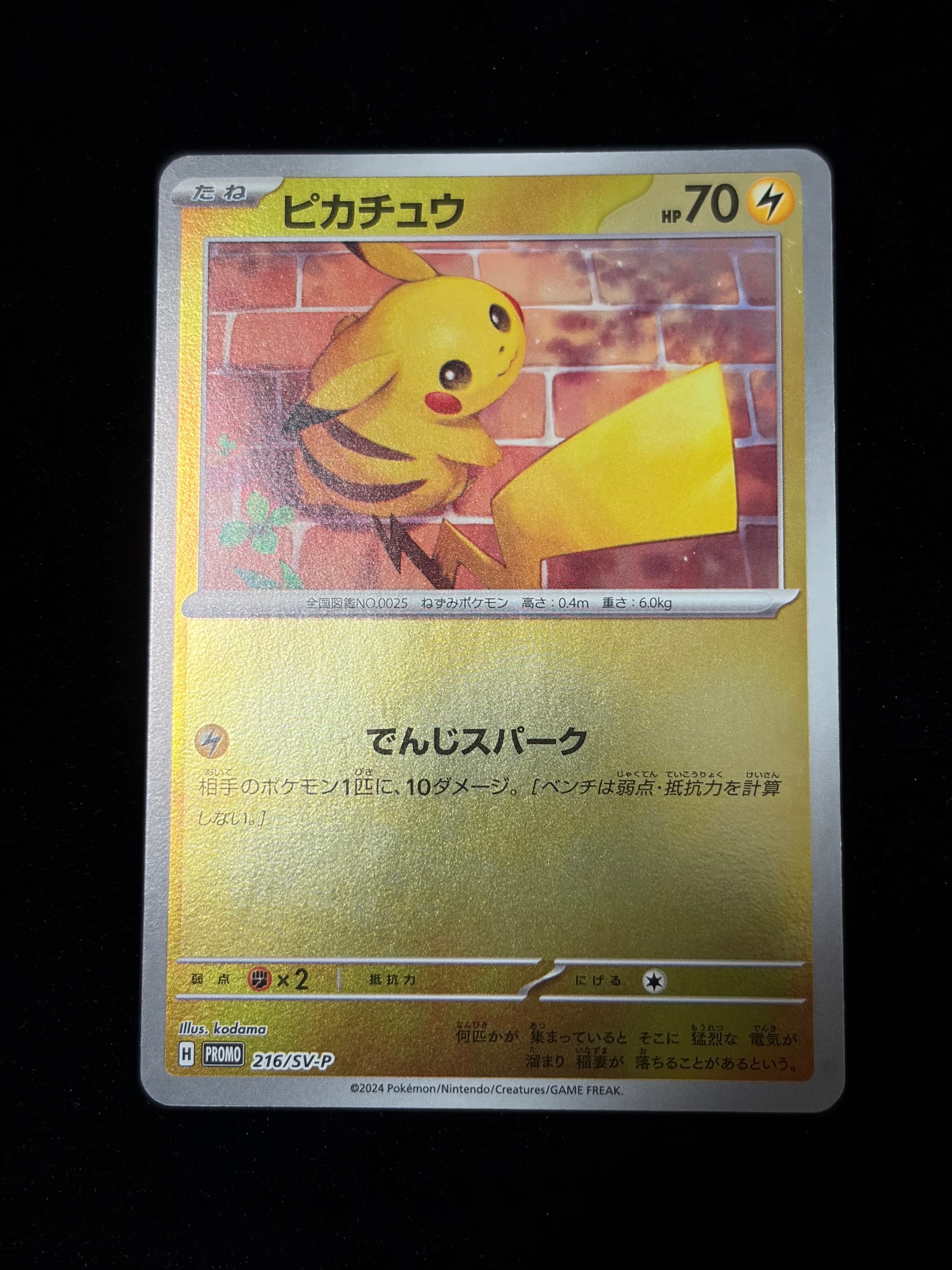 ピカチュウ P [SV-P 216](プロモカードパック「ポケカの夏がキタ!プロモカードGetキャンペーン!」)
