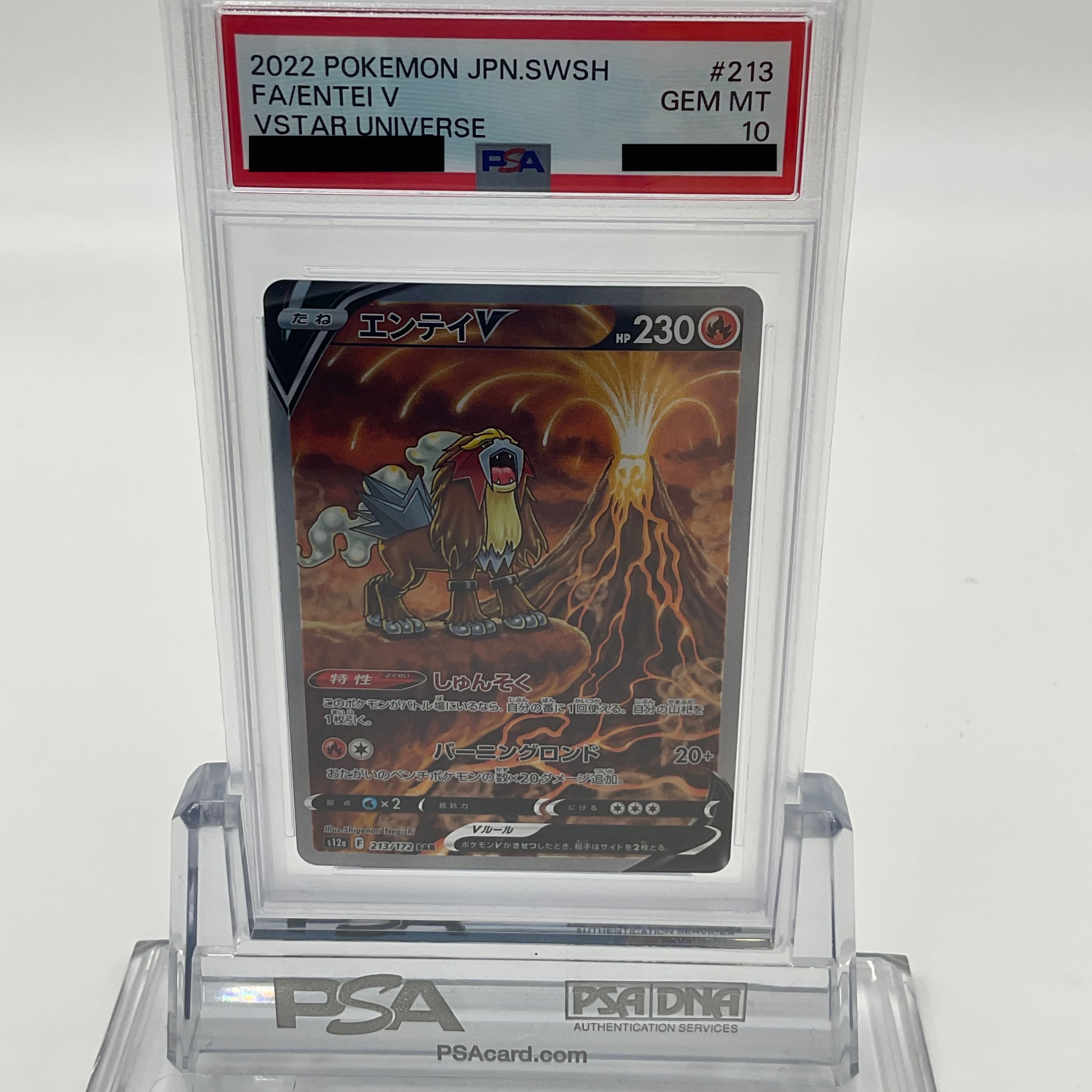 エンテイV SAR[s12a 213/172](ハイクラスパック「VSTARユニバース」)