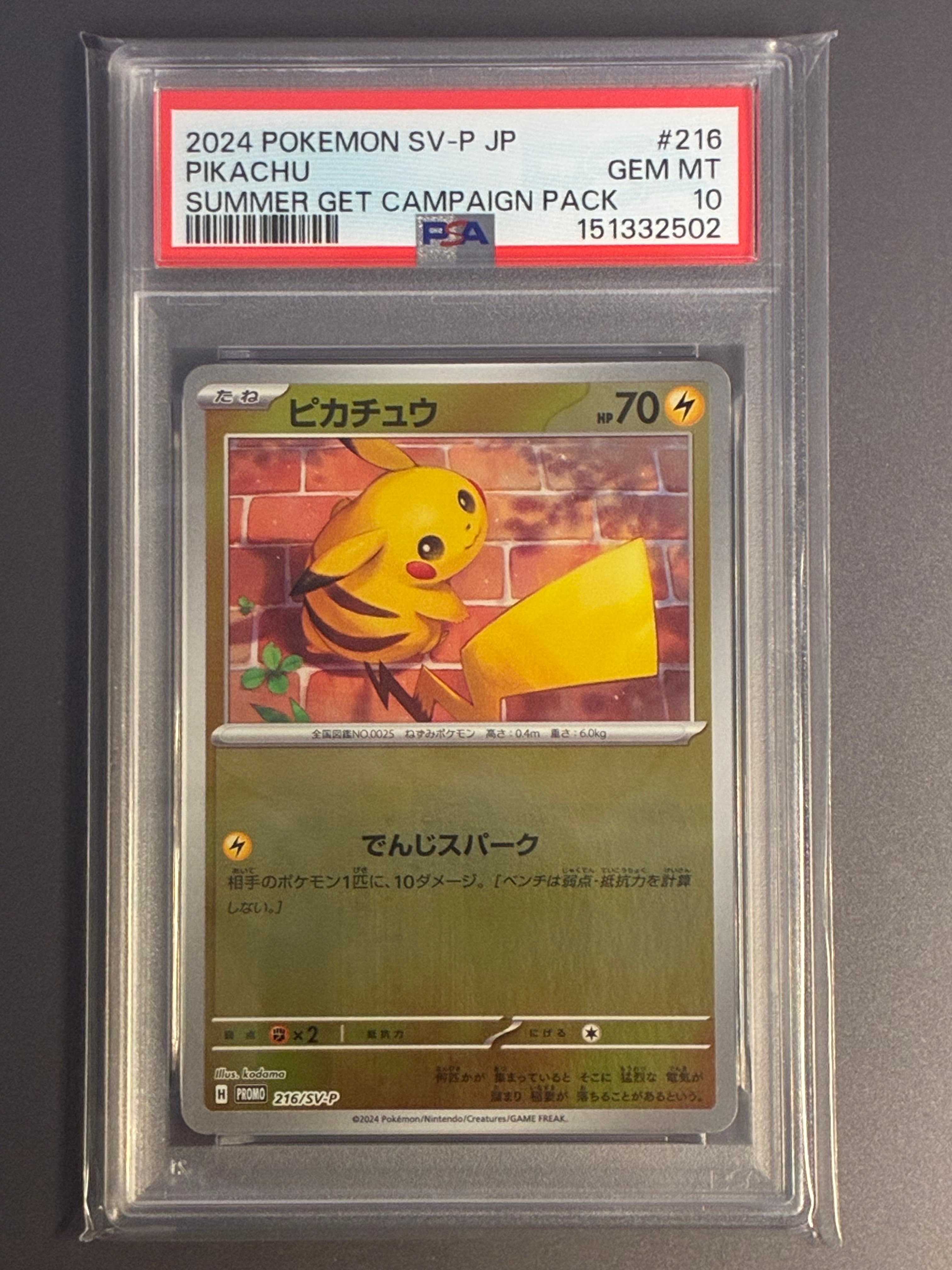 ピカチュウ P [SV-P 216](プロモカードパック「ポケカの夏がキタ!プロモカードGetキャンペーン!」)