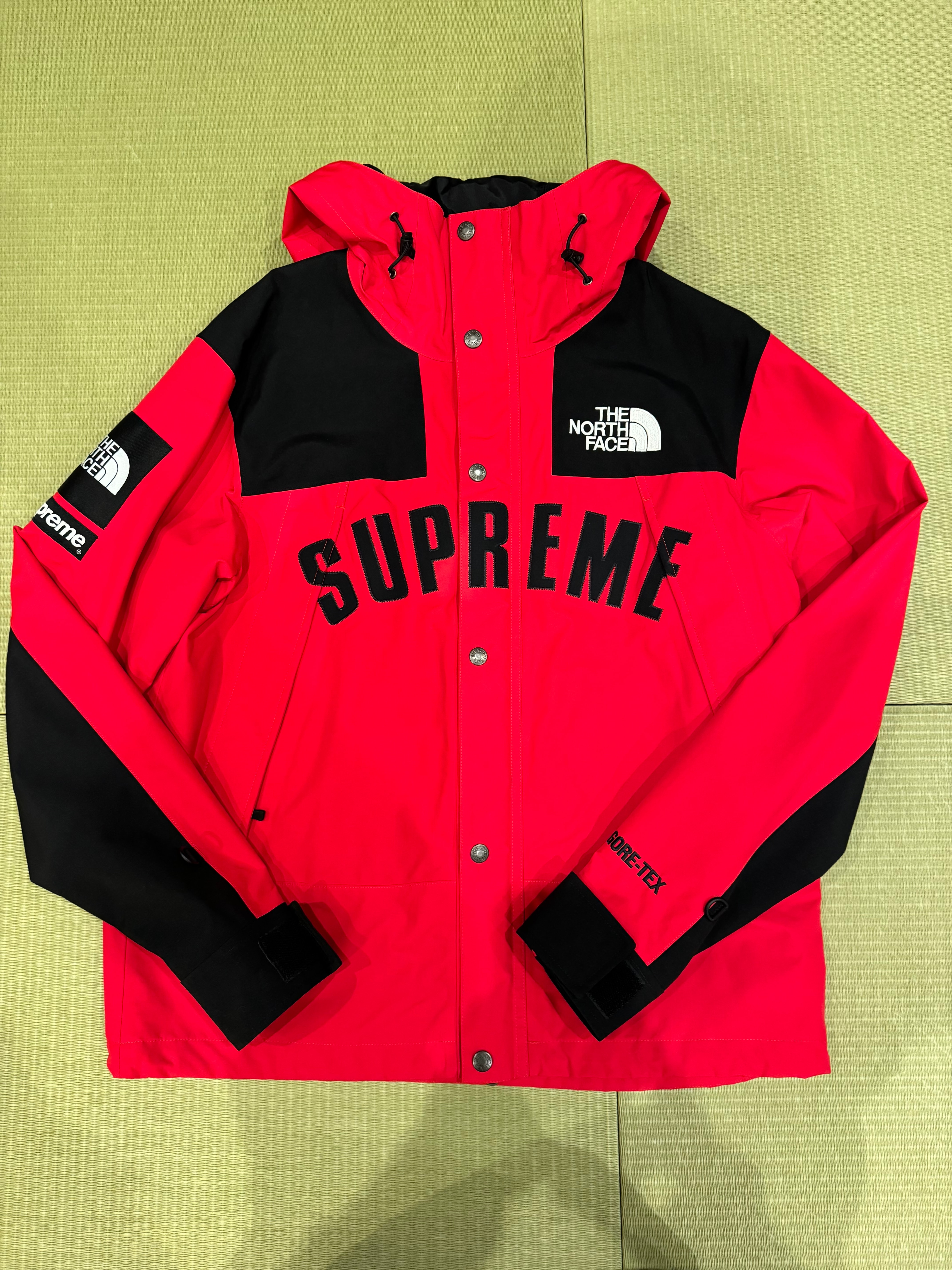 Supreme x The North Face Arc Logo Mountain Parka "Red"