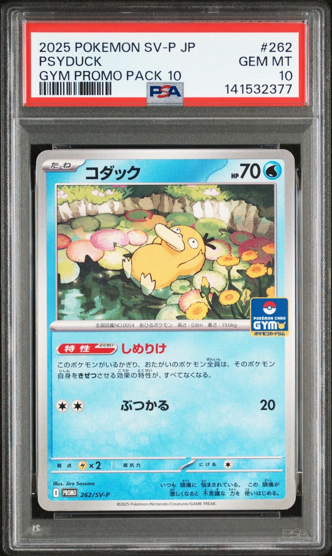 コダック P [SV-P 262](プロモカードパック「第10弾」)