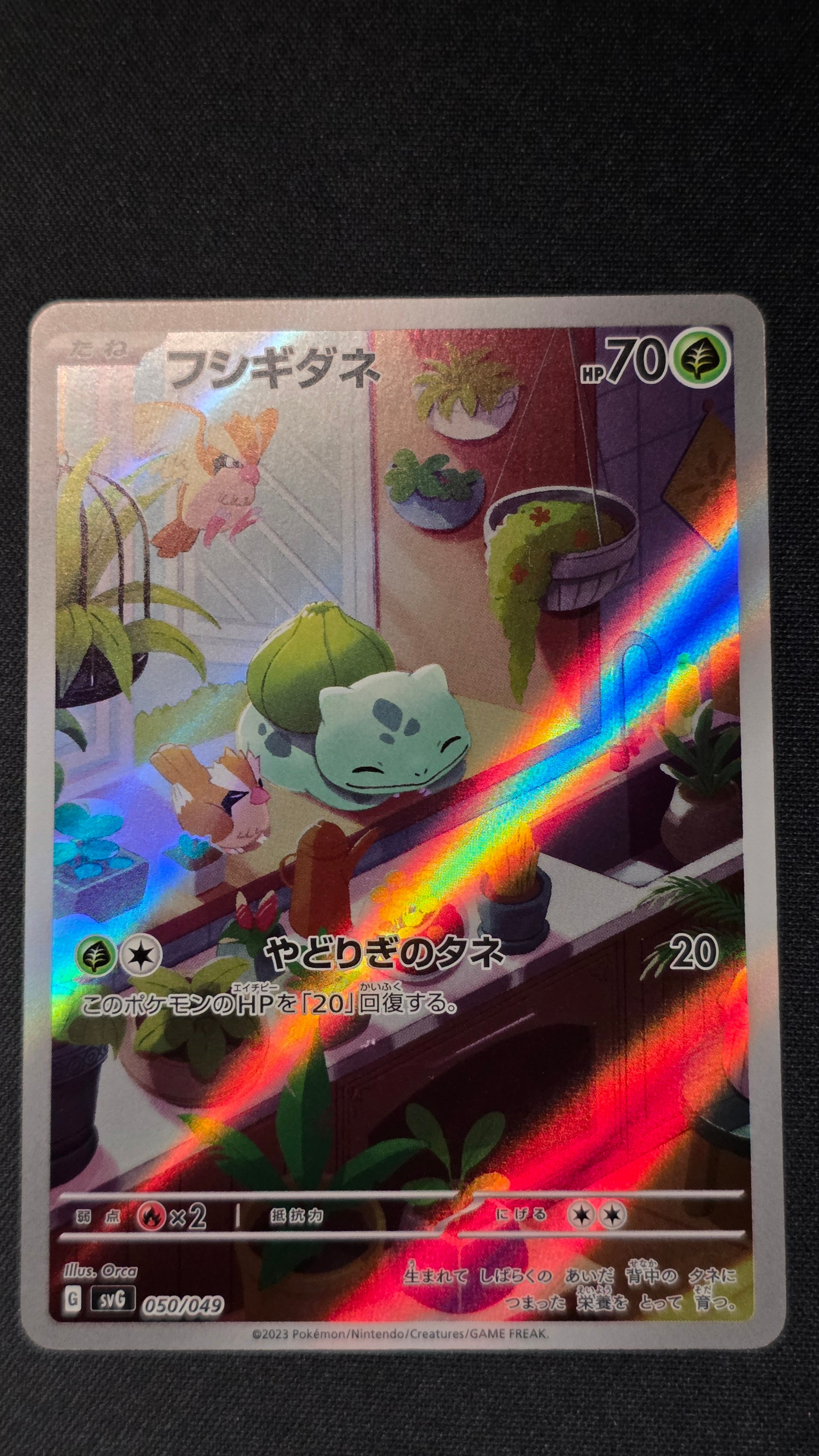PSA10】コライドン: プロモ [SV-P 049](プロモーションカード「SV-P