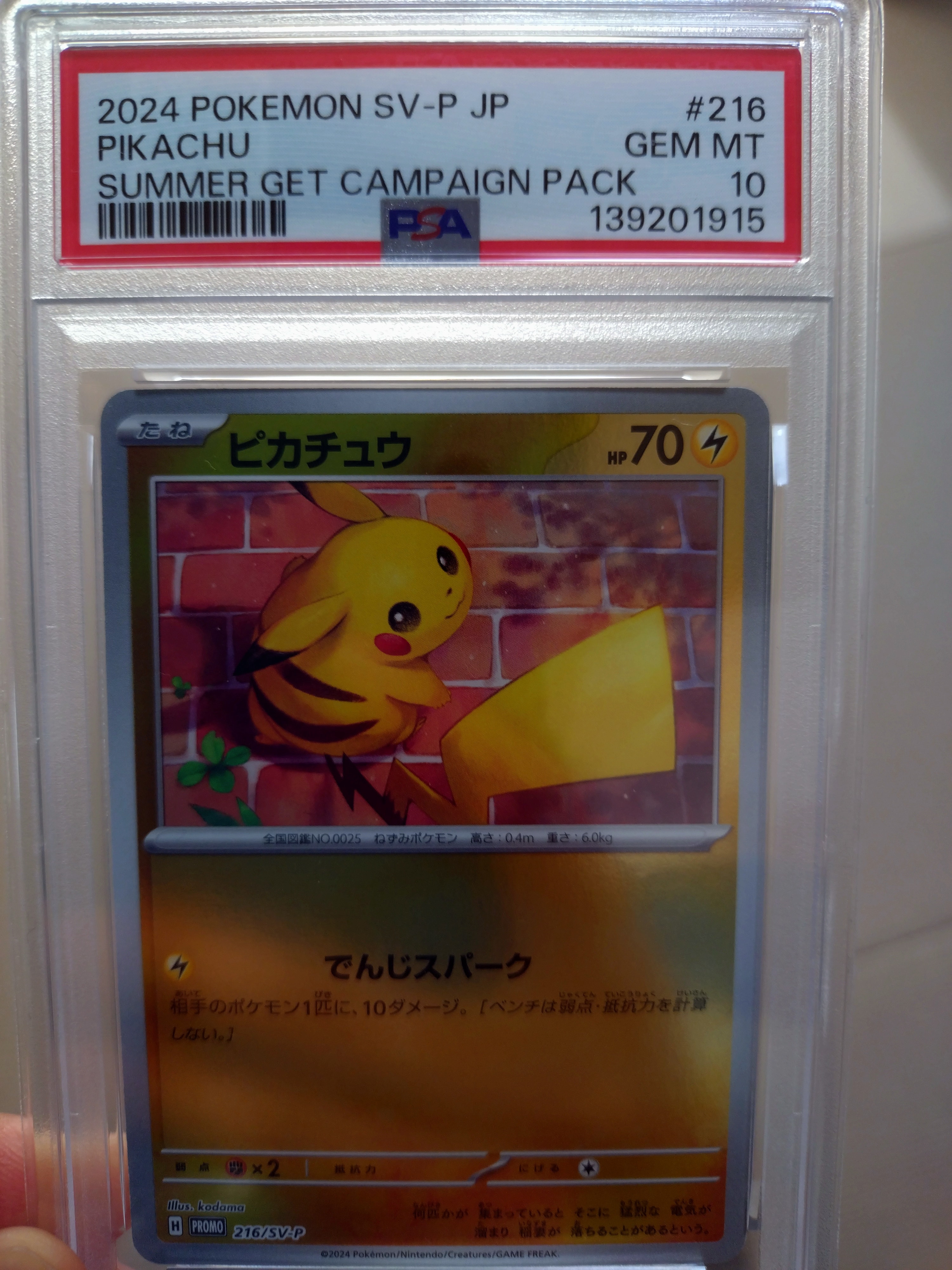 ピカチュウ P [SV-P 216](プロモカードパック「ポケカの夏がキタ!プロモカードGetキャンペーン!」)