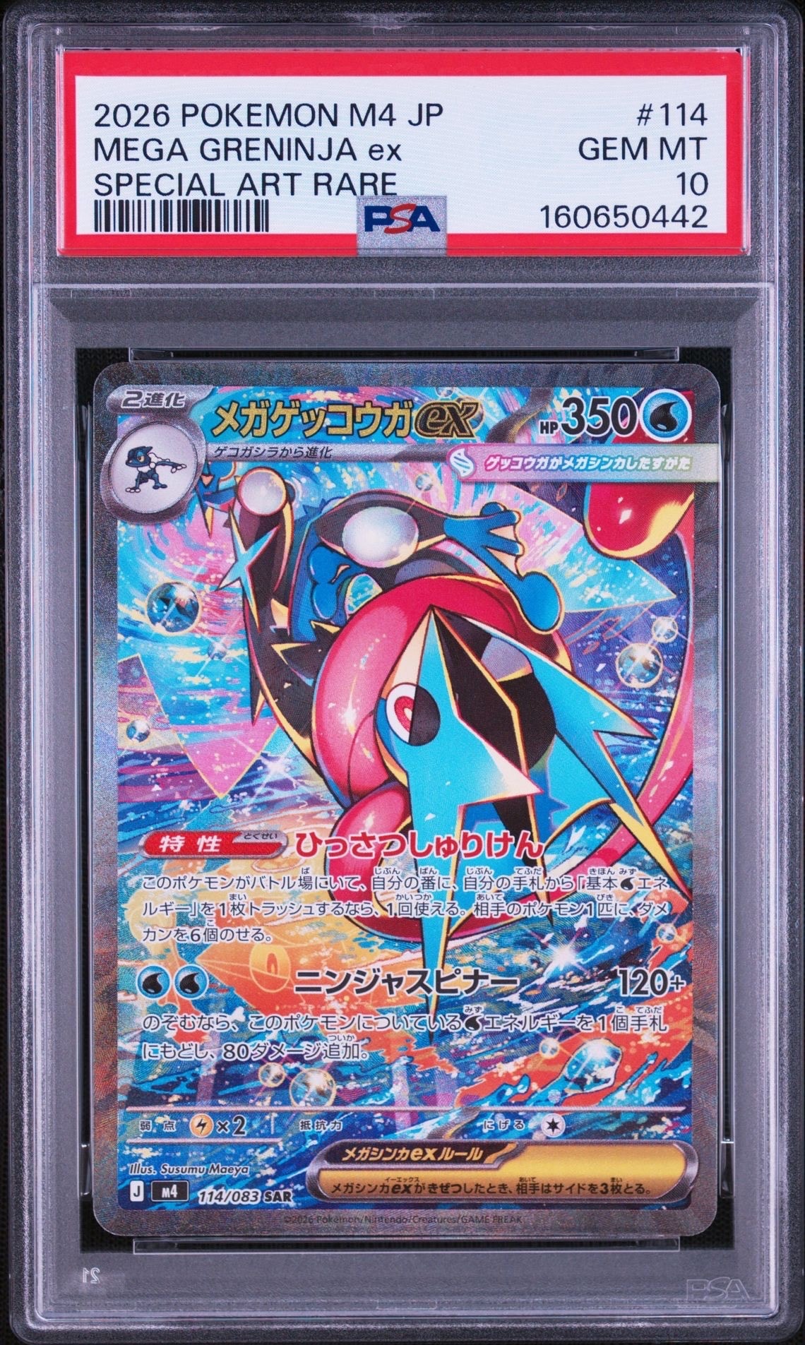 フウロ: プロモ[XY-P 164/XY-P](プロモーションカード「XY-P」)の新品