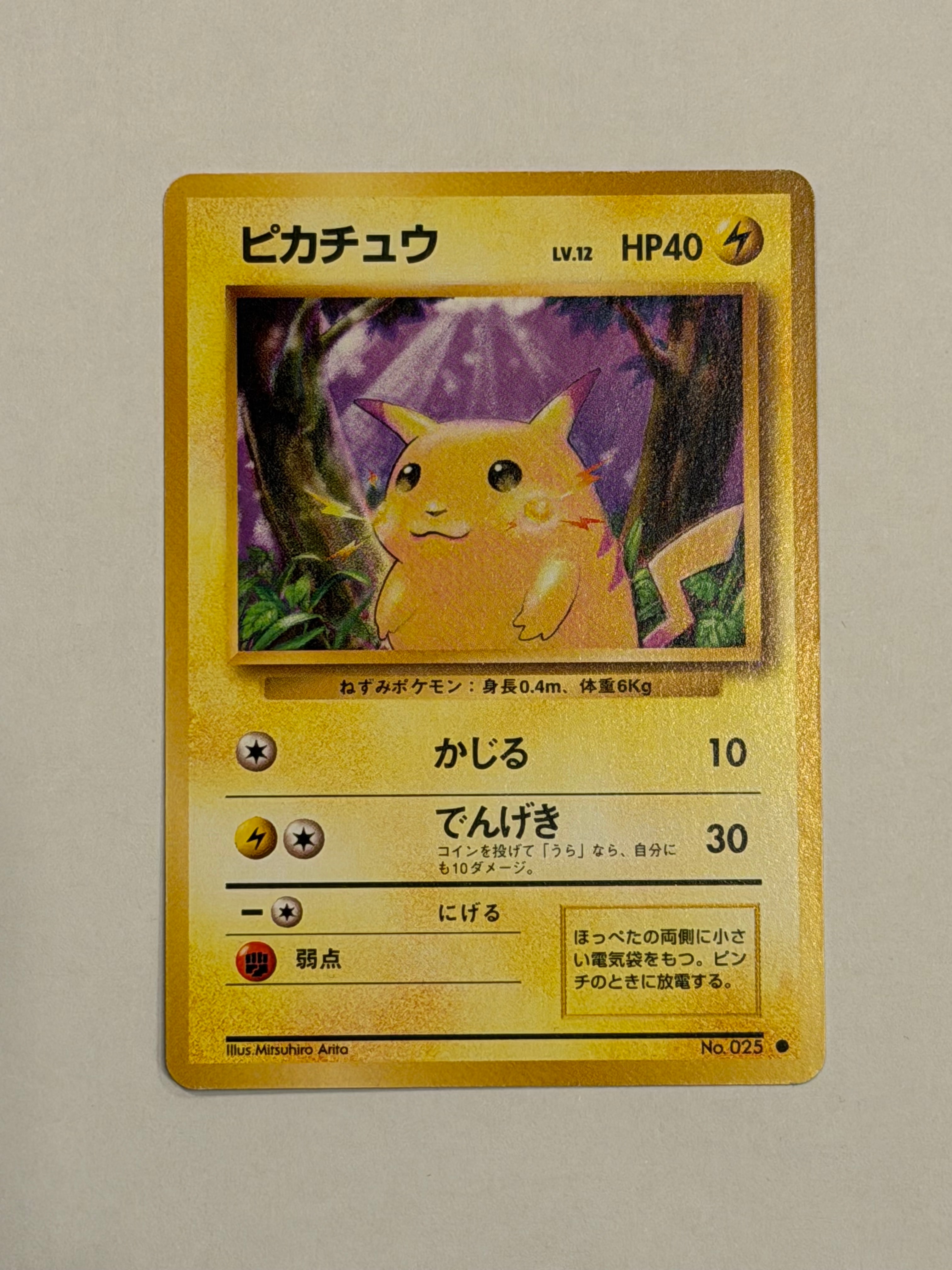 PSA10】マスクド・ピカチュウ: プロモ[XY-P 247/XY-P](プロモーション