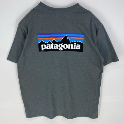 古着 パタゴニア patagonia 半袖Tシャツ ロゴバックプリント クルーネック アウトドア ショートスリーブ L グレー系 メンズ