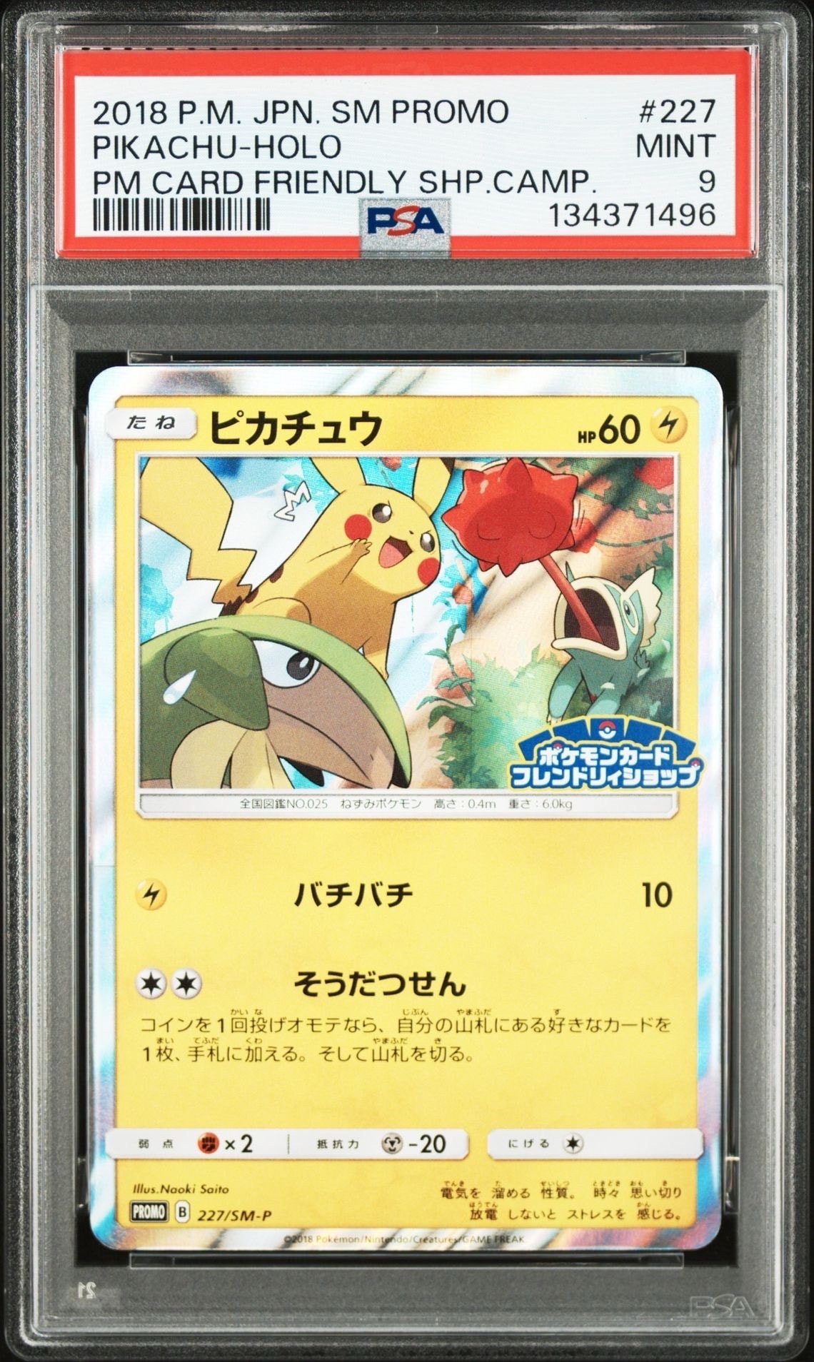 ピカチュウ P [SM-P 227](プロモーションカード「ポケモンカードフレンドリィショップ限定キャンペーン」)