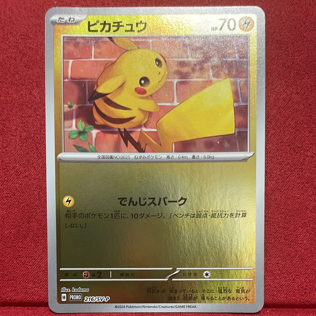 ピカチュウ P [SV-P 216](プロモカードパック「ポケカの夏がキタ!プロモカードGetキャンペーン!」)