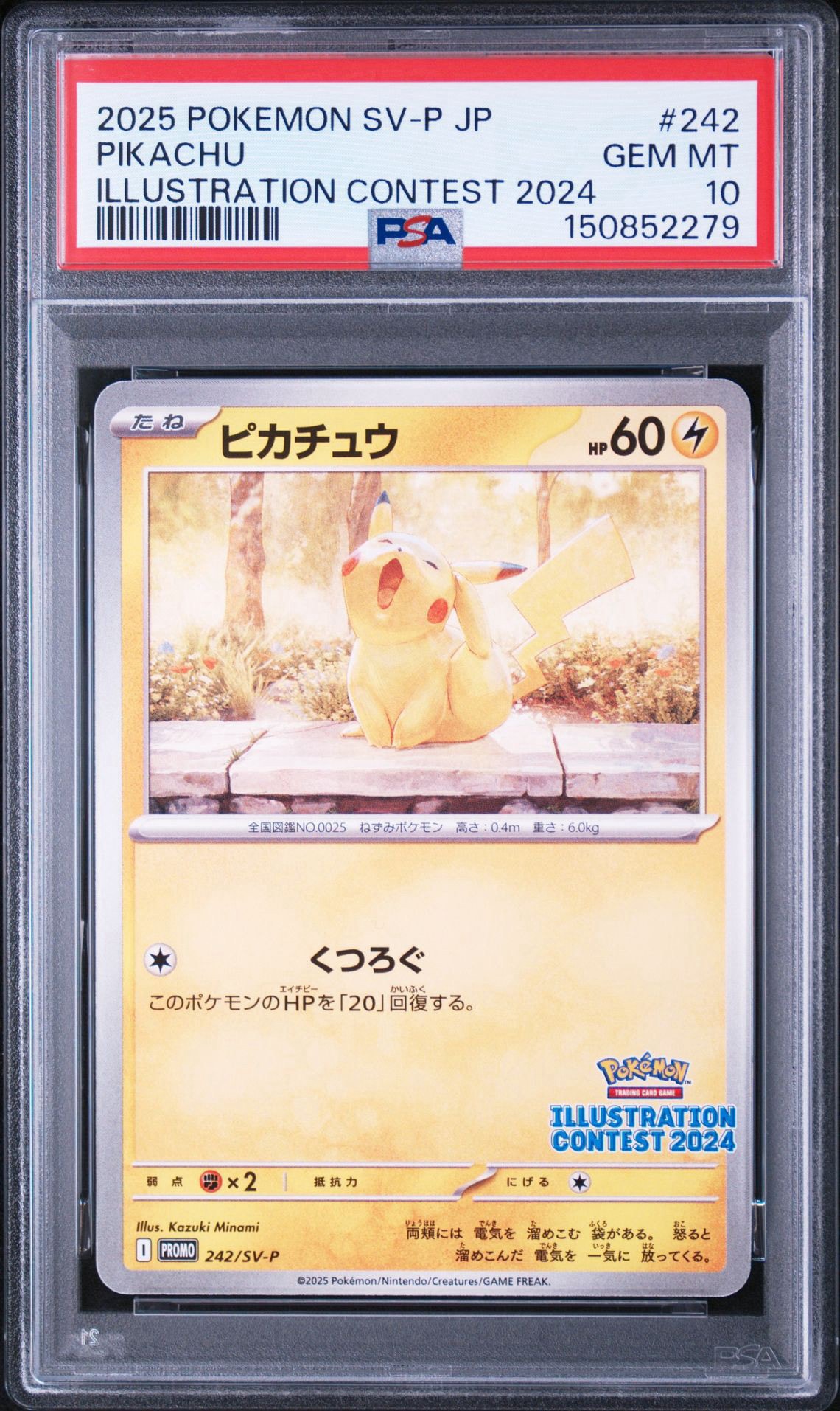 ピカチュウ [SV-P 242](プロモカードパック「イラストレーション