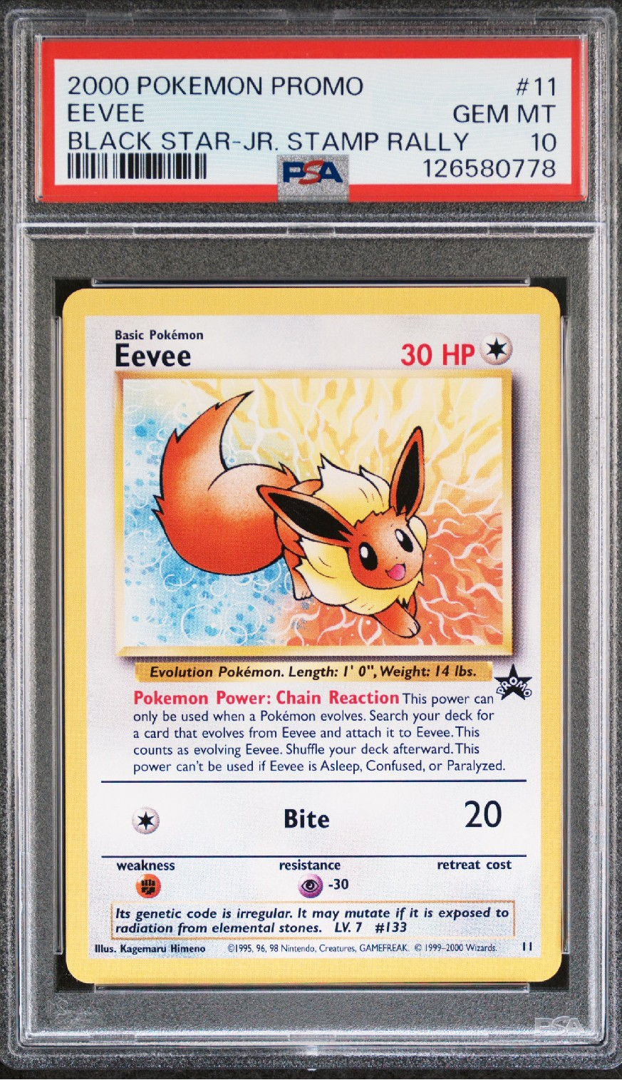 イーブイ P : 旧裏 [PMCG-P](プロモーションカード「スタンプラリー2000 達成記念ポケモンカード US版オフィシャルプロモ 金コース」)