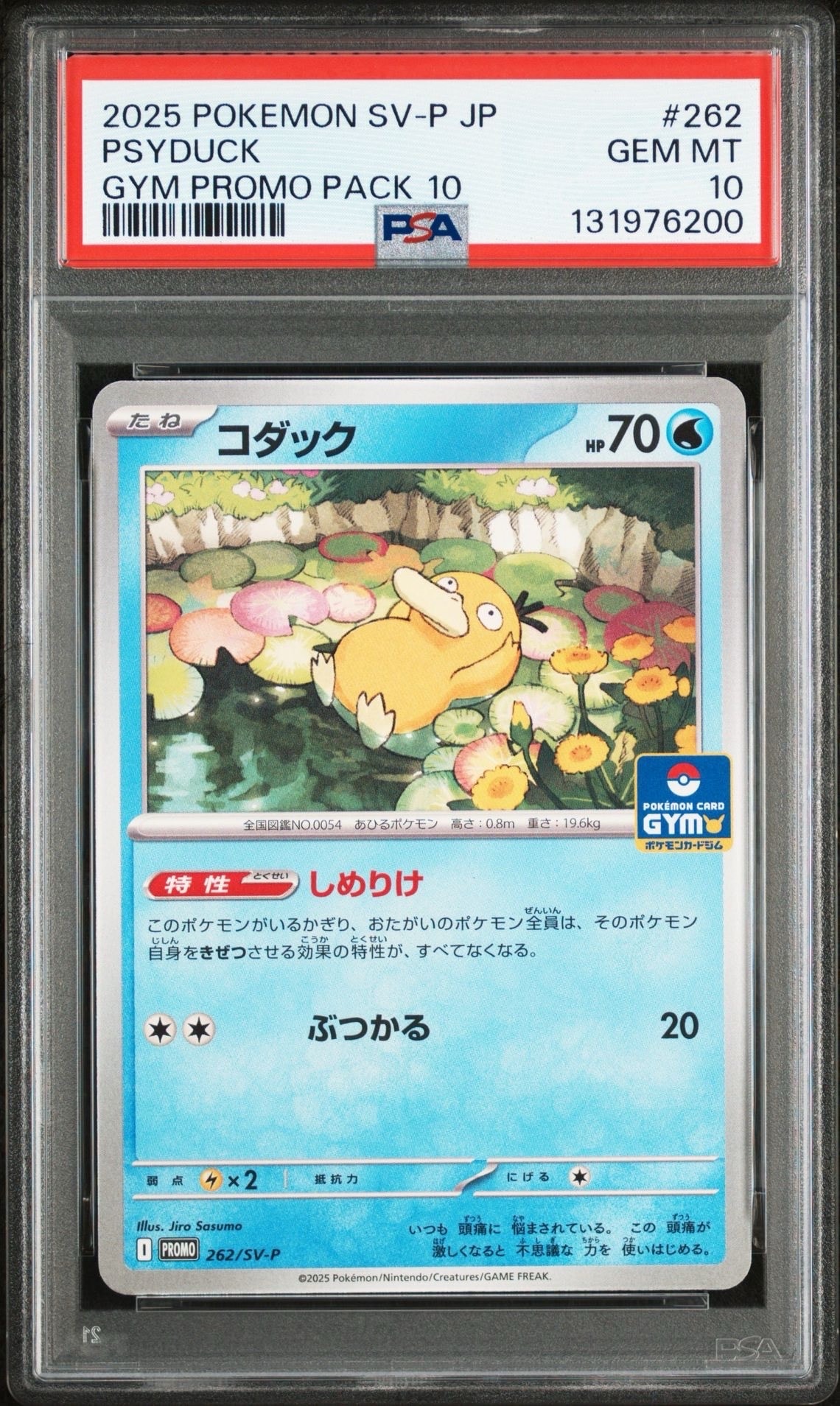 コダック P [SV-P 262](プロモカードパック「第10弾」)