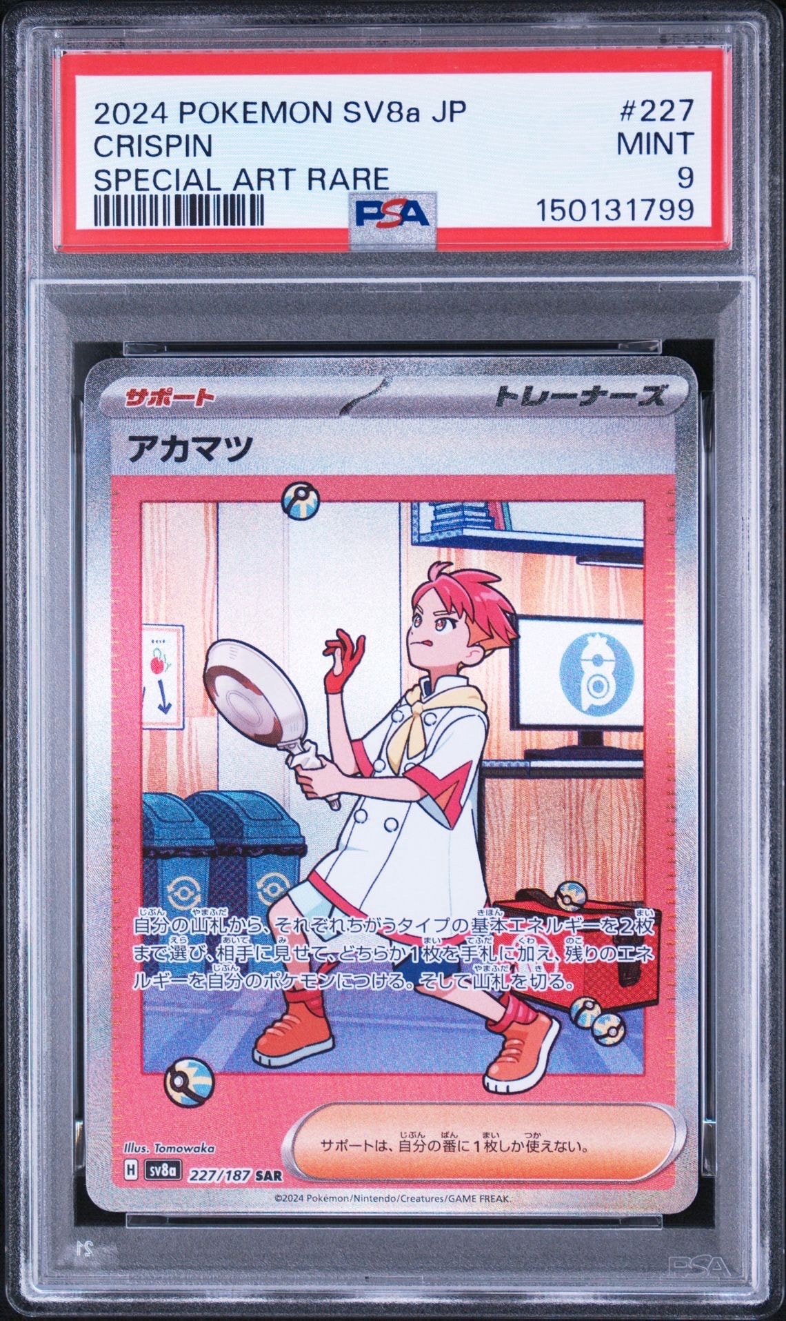 アカマツ SAR [SV8a 227/187](ハイクラスパック「テラスタルフェスex