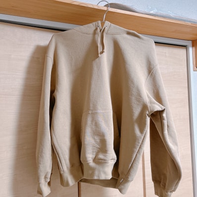 Supreme Satin Applique Hooded Sweatshirt (25FW) "Dark Tan"