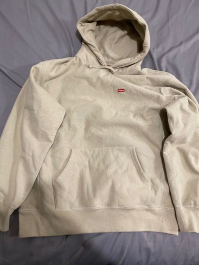 Supreme Small Box Hooded Sweatshirt "Taupe" (21FW)