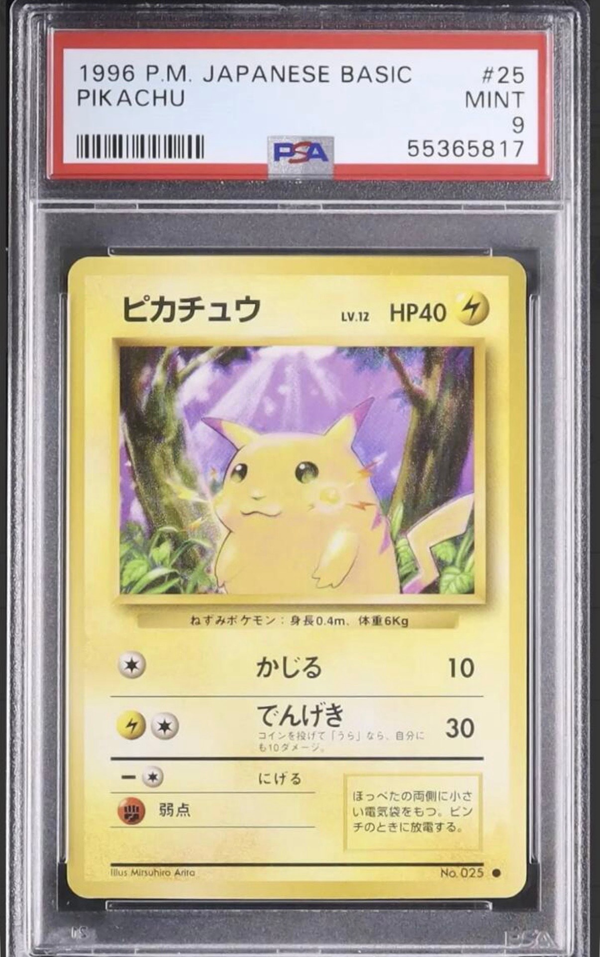 ピカチュウ ○ : 旧裏 [PMCG1-2](拡張パック「ポケットモンスター
