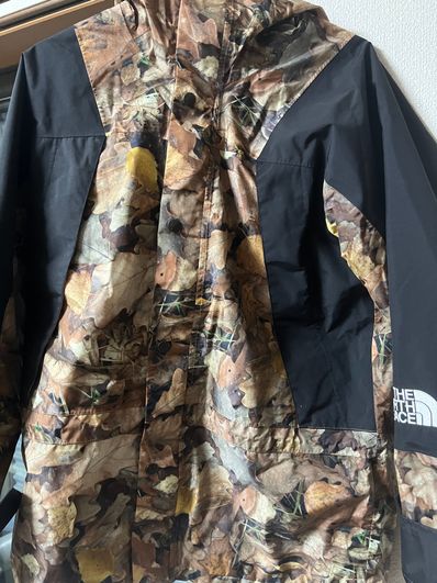 Supreme x The North Face Leaves Mountain Light Jacket "Leaves"