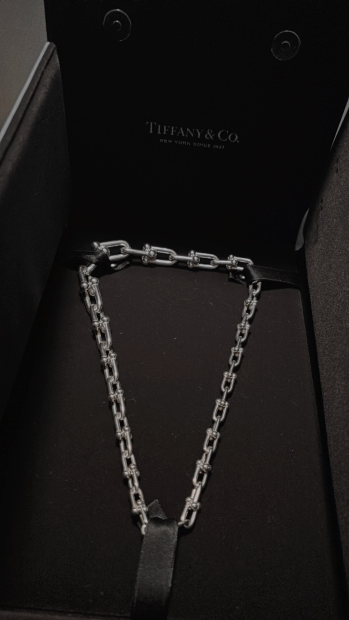 Tiffany & Co. HardWear Graduated Link Necklace "Silver"