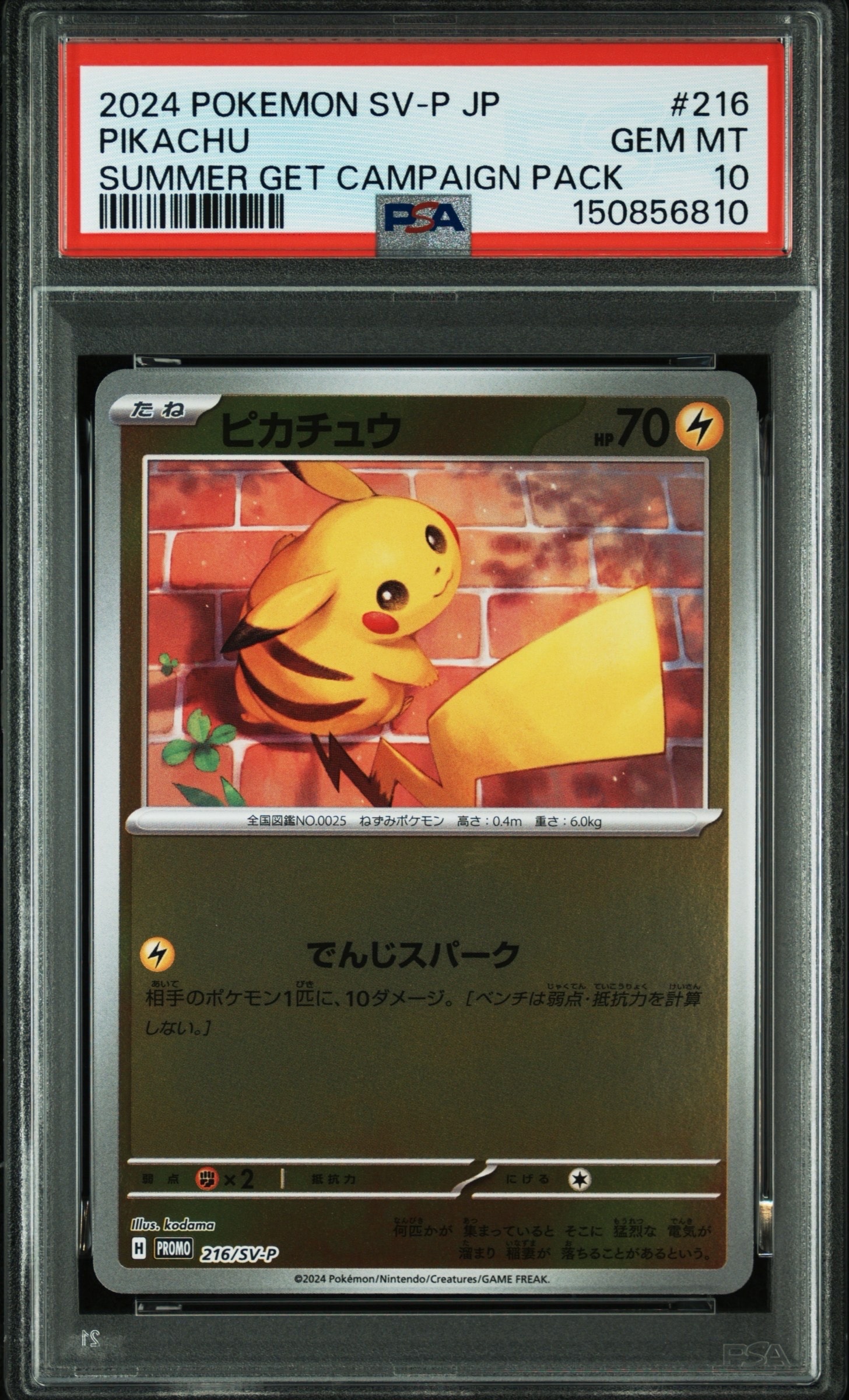 ピカチュウ P [SV-P 216](プロモカードパック「ポケカの夏がキタ