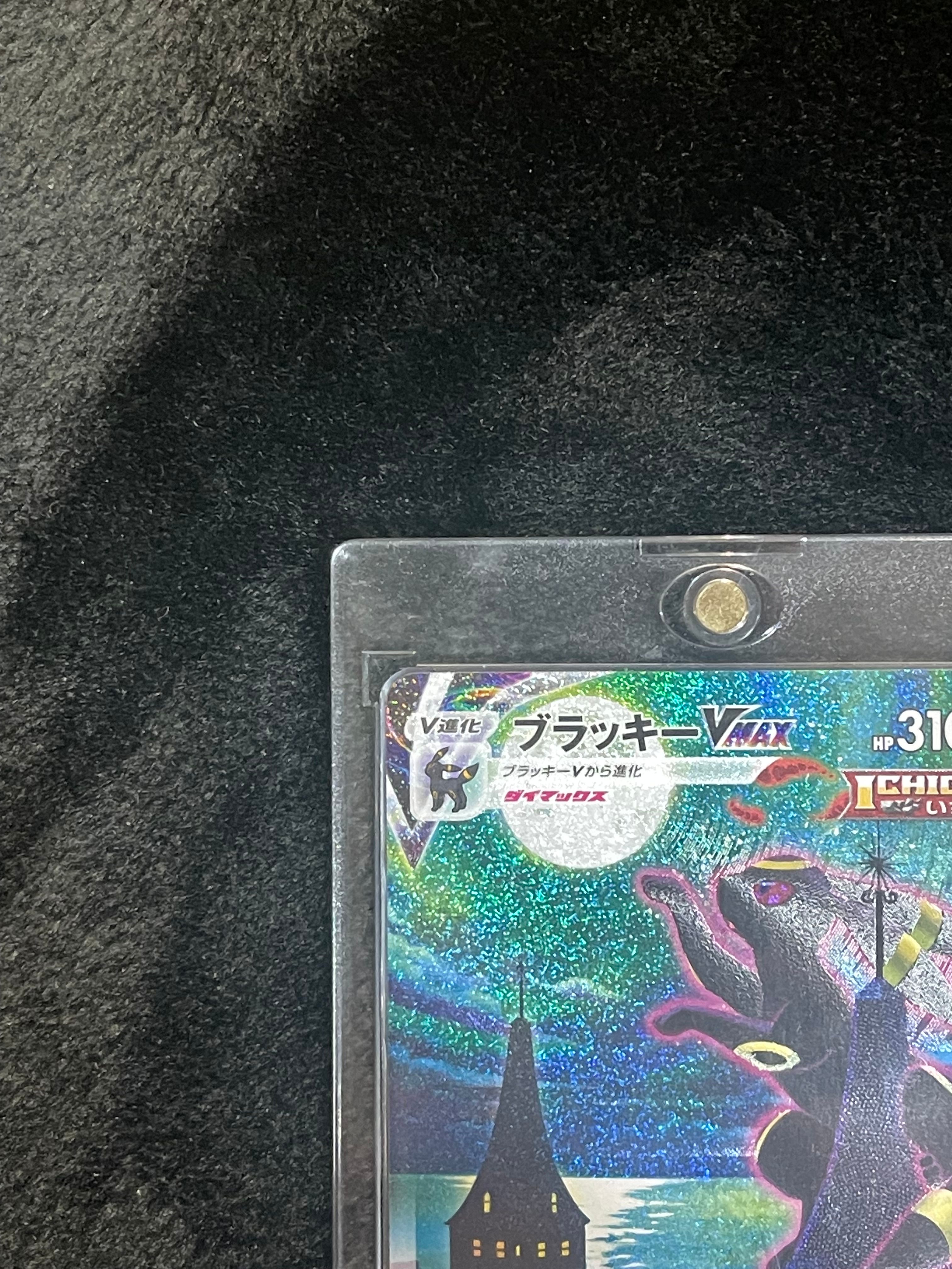 ブラッキーVMAX HR: SA[S6a 095/069] PSA10 PSA10鑑定済〕ブラッキーVMAX(SA)【HR】{095/069}