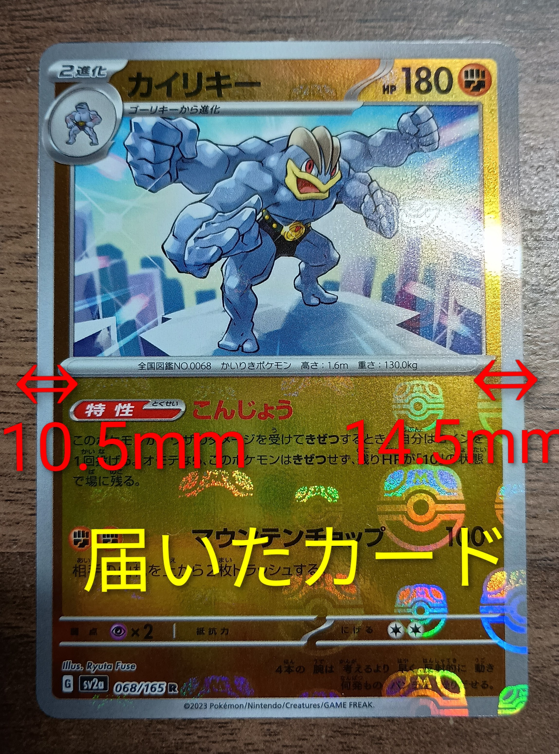 エモンガ P [BW-P 081/BW-P](プロモーションカード「サマーカーニバル