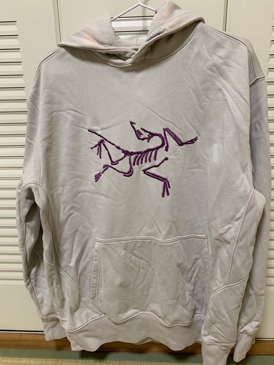 PALACE / Arc'Teryx Alpha Hood "Grey" P19ARXHD006
