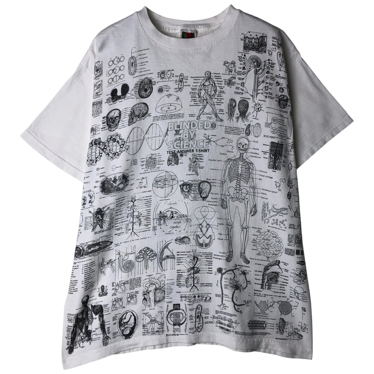 古着 00年代 フルーツオブザルーム FRUIT OF THE LOOM BLINDED BY SCIENCE 大判プリント プリントTシャツ メンズL相当/eaa458107