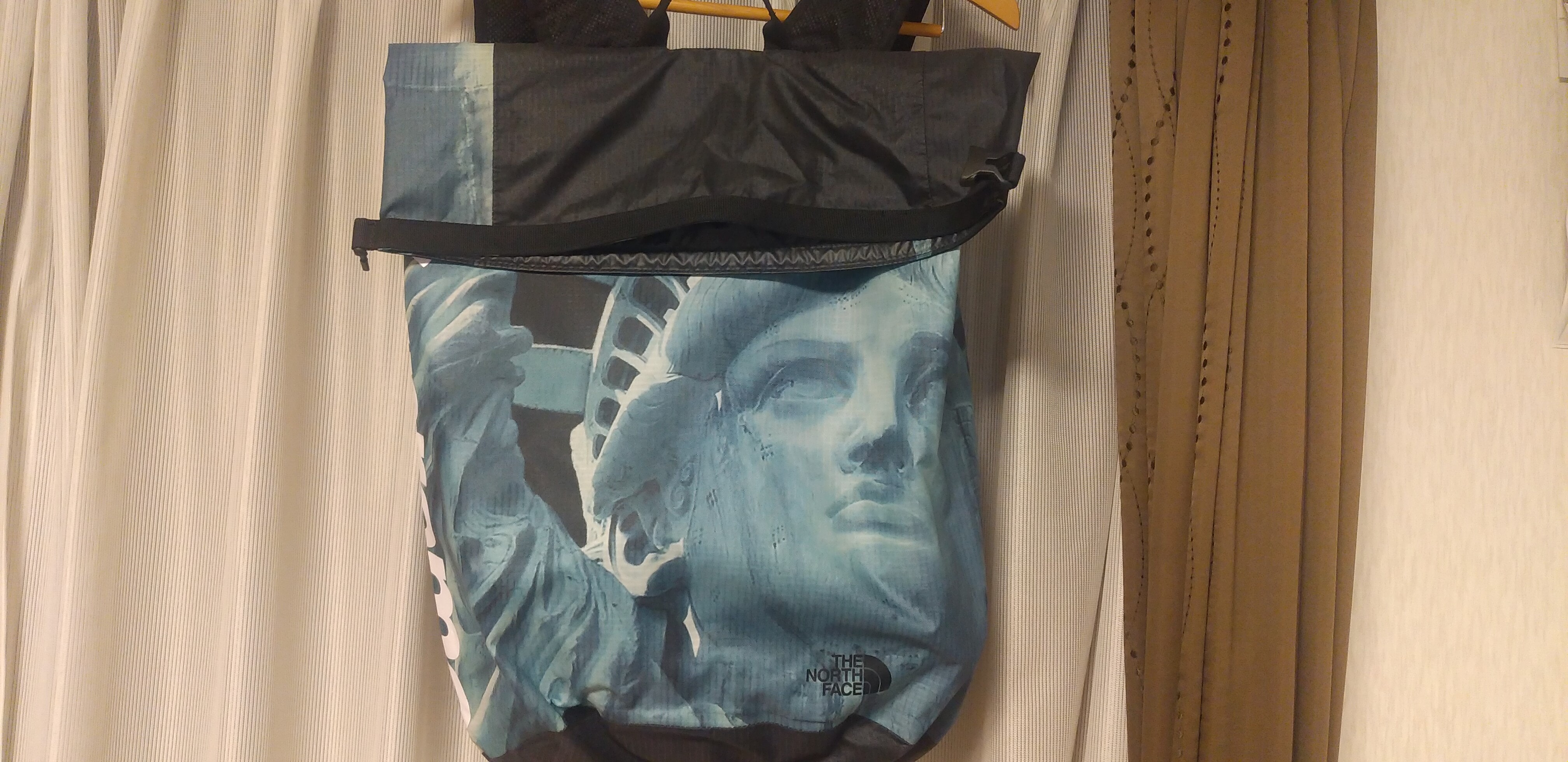Supreme x The North Face Statue of Liberty Waterproof Backpack "Black"