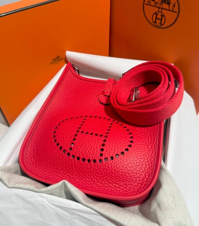 【新品未使用/希少カラー/G刻印/納品書付き】HERMES エルメス エヴリン 16 アマゾーヌ TPM/ルージュ・ドゥ・クール レッド