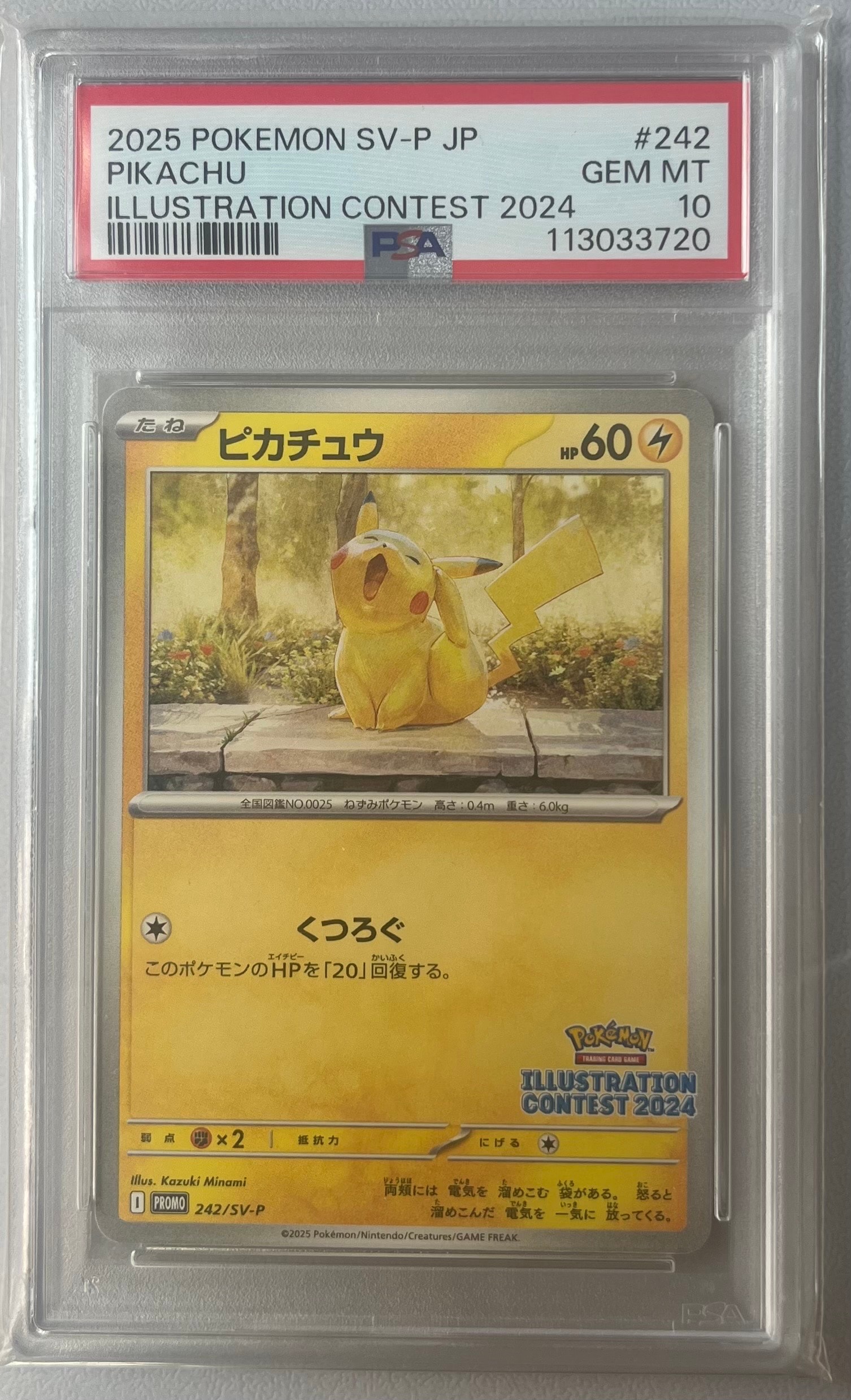 ピカチュウ [SV-P 242](プロモカードパック「イラストレーションコンテスト 2024 受賞作品プロモカード化記念キャンペーン」)