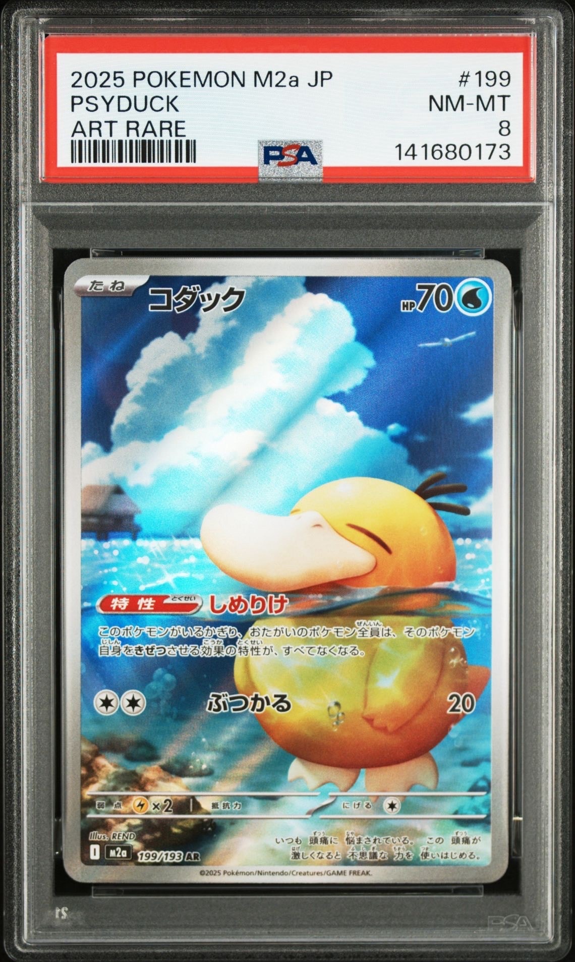 コダック AR [M2a 199/193](ハイクラスパック「MEGAドリームex」)