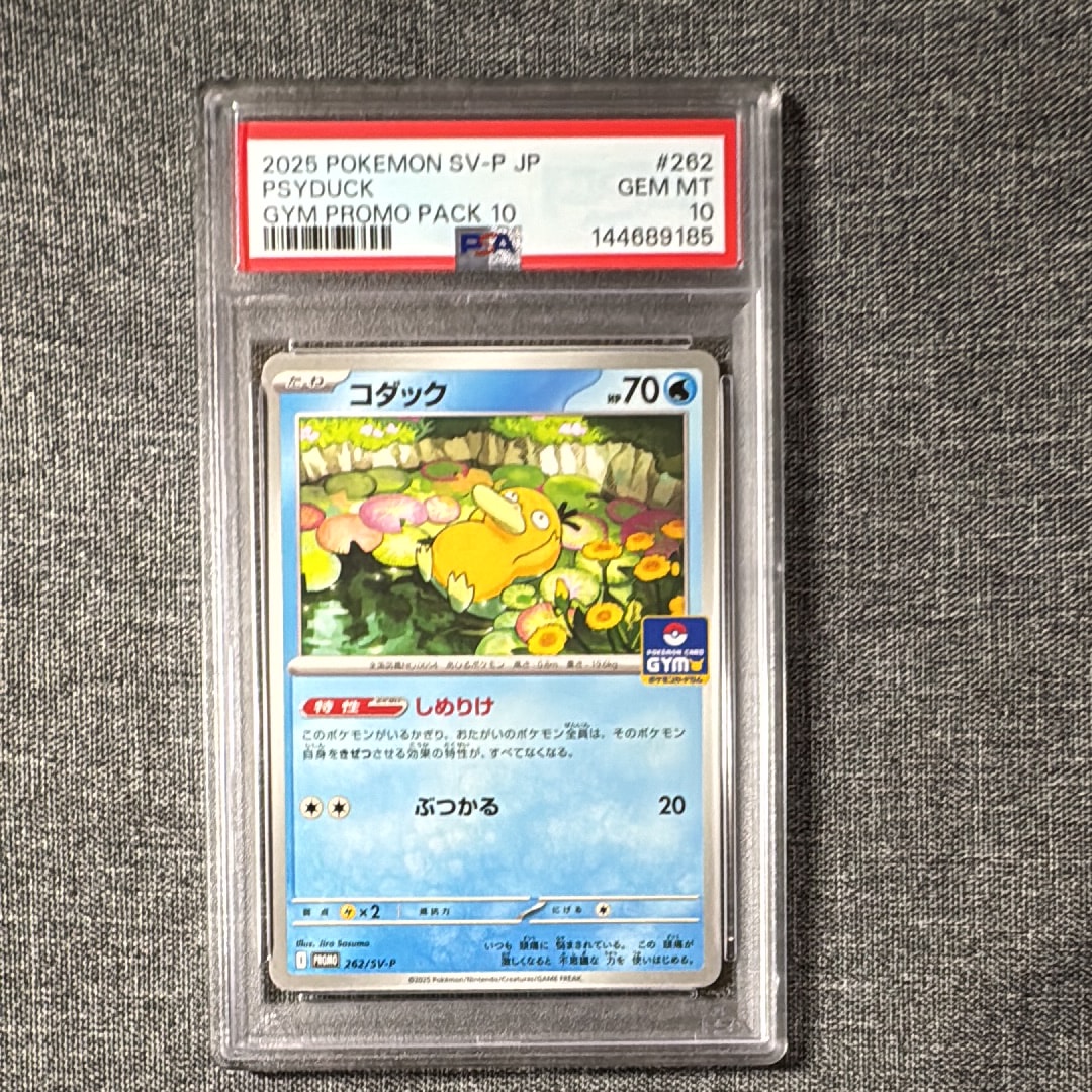 コダック P [SV-P 262](プロモカードパック「第10弾」)の新品/中古