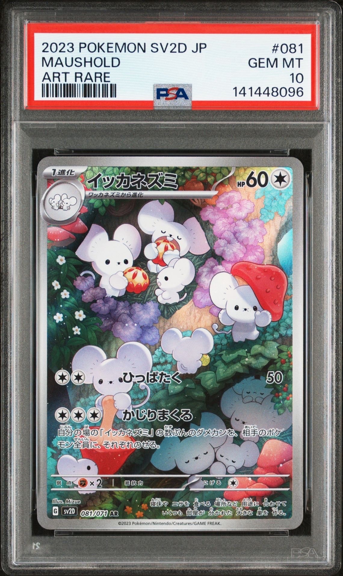 イッカネズミ AR[SV2D 081/071](拡張パック「クレイバースト」)の新品