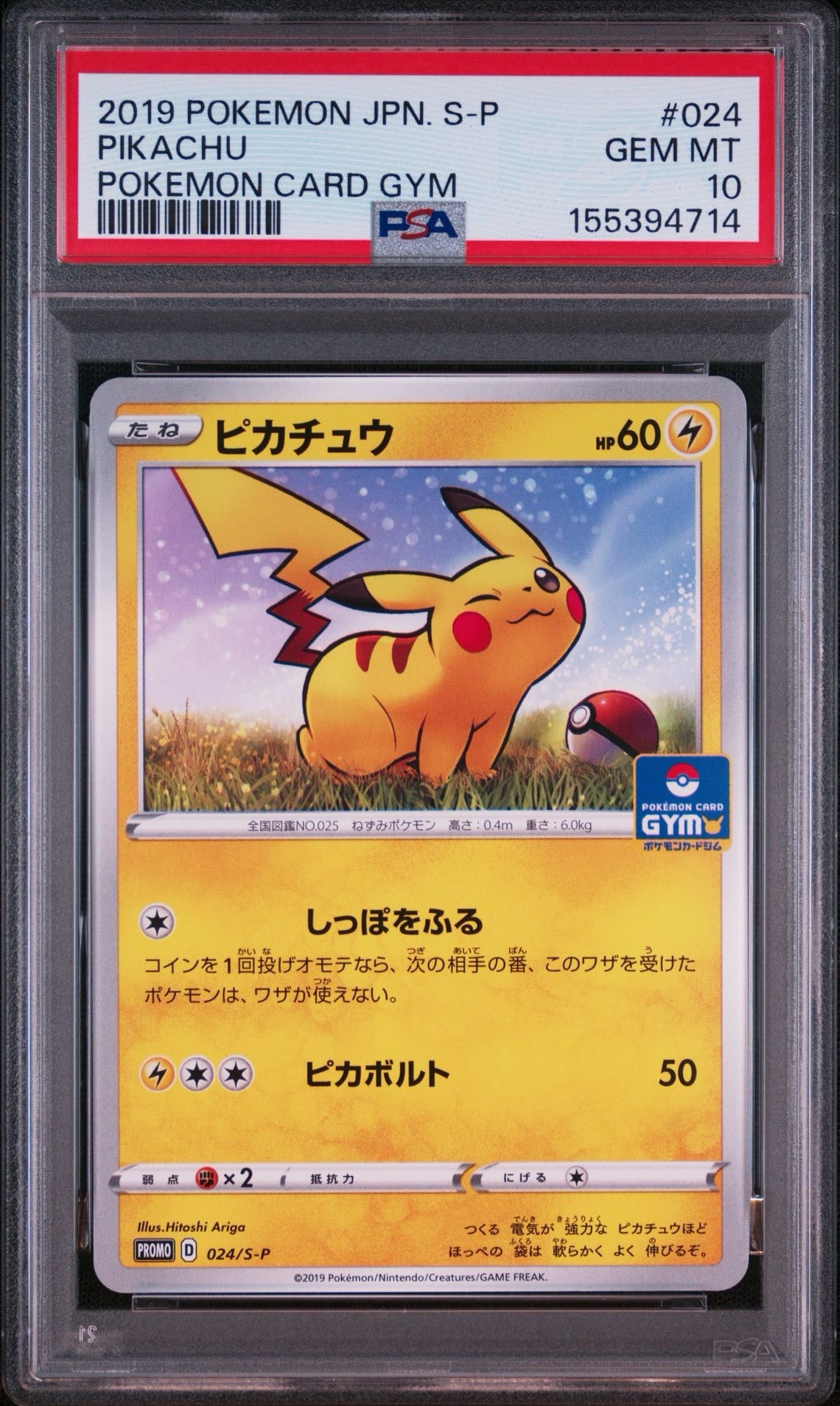 ピカチュウ: プロモ P [S-P 024](ポケモンカードゲーム ソード