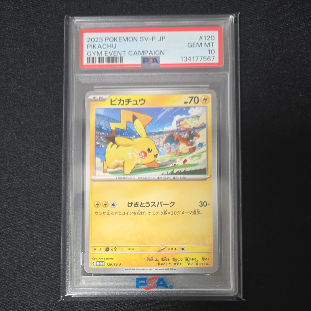 ピカチュウ: プロモ [SV-P 120](プロモーションカード「SV-P」)の新品
