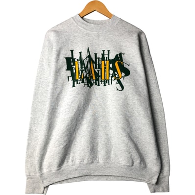 古着 90年代 フルーツオブザルーム FRUIT OF THE LOOM プリントスウェットシャツ トレーナー メンズXL相当 ヴィンテージ/eaa593488