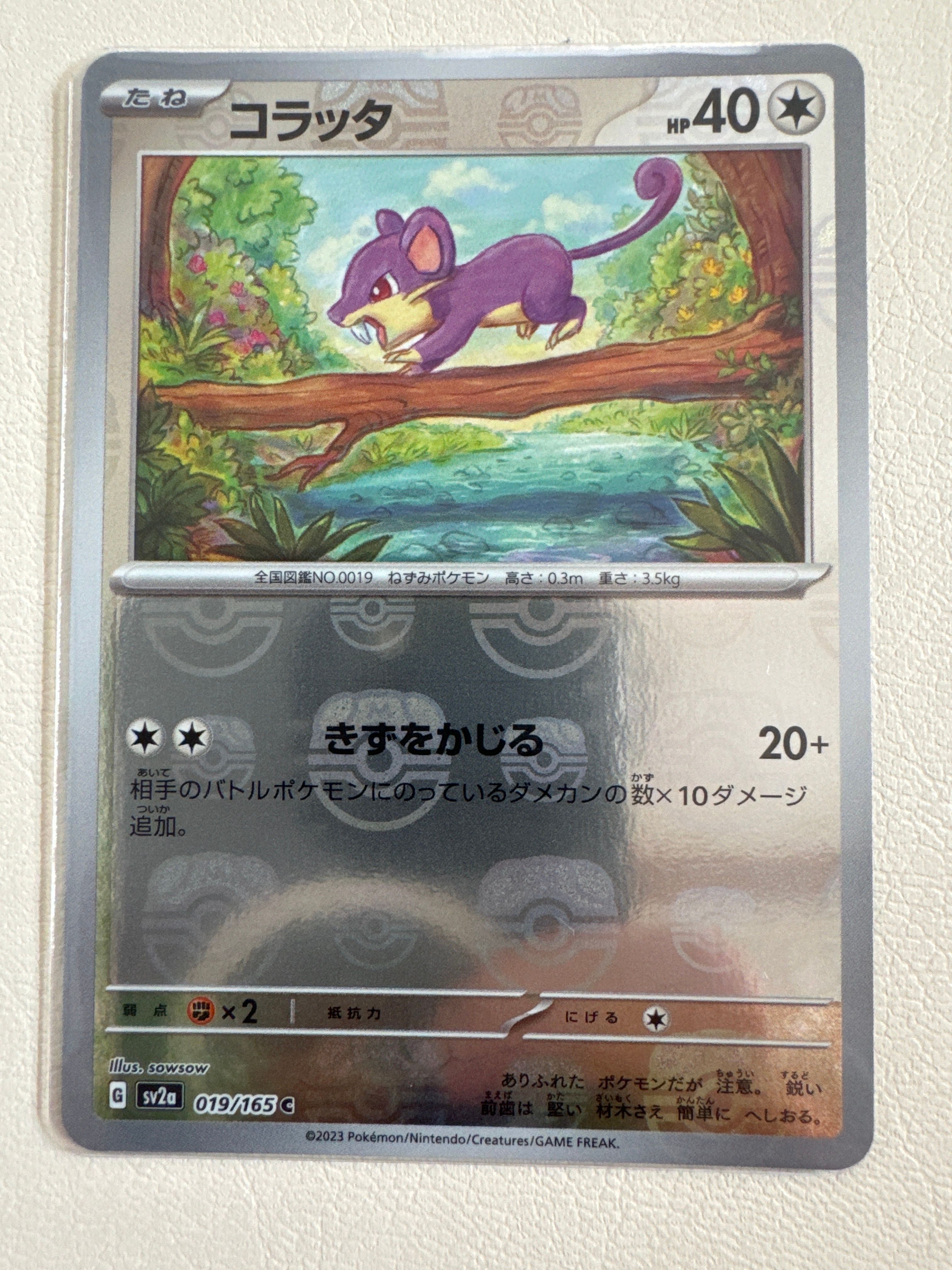 コラッタ C: マスターボールミラー[SV2a 019/165](強化拡張パック「ポケモンカード151」)