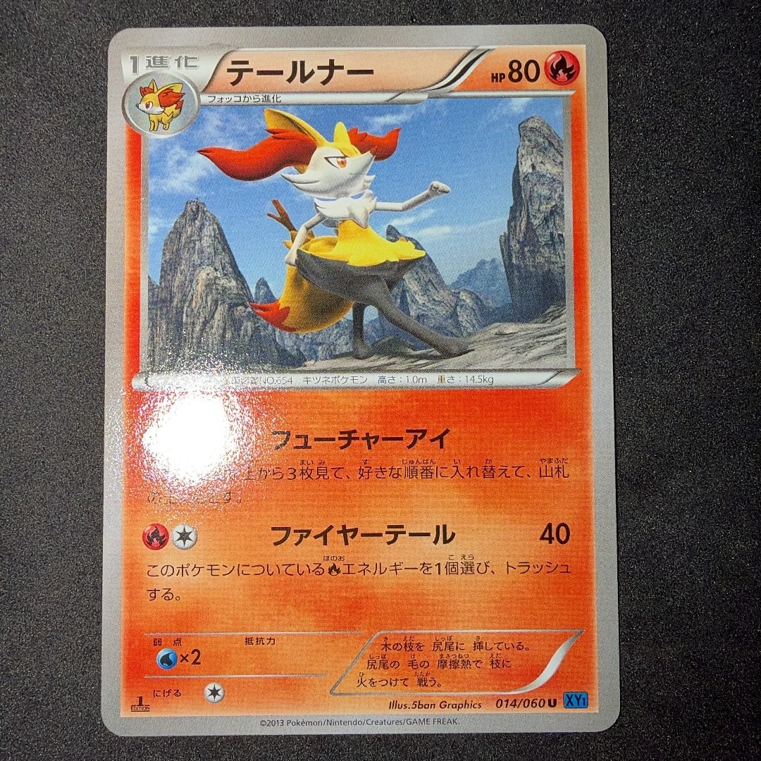 テールナー U :1ED [XY1 014/060](拡張パック「コレクションX」)