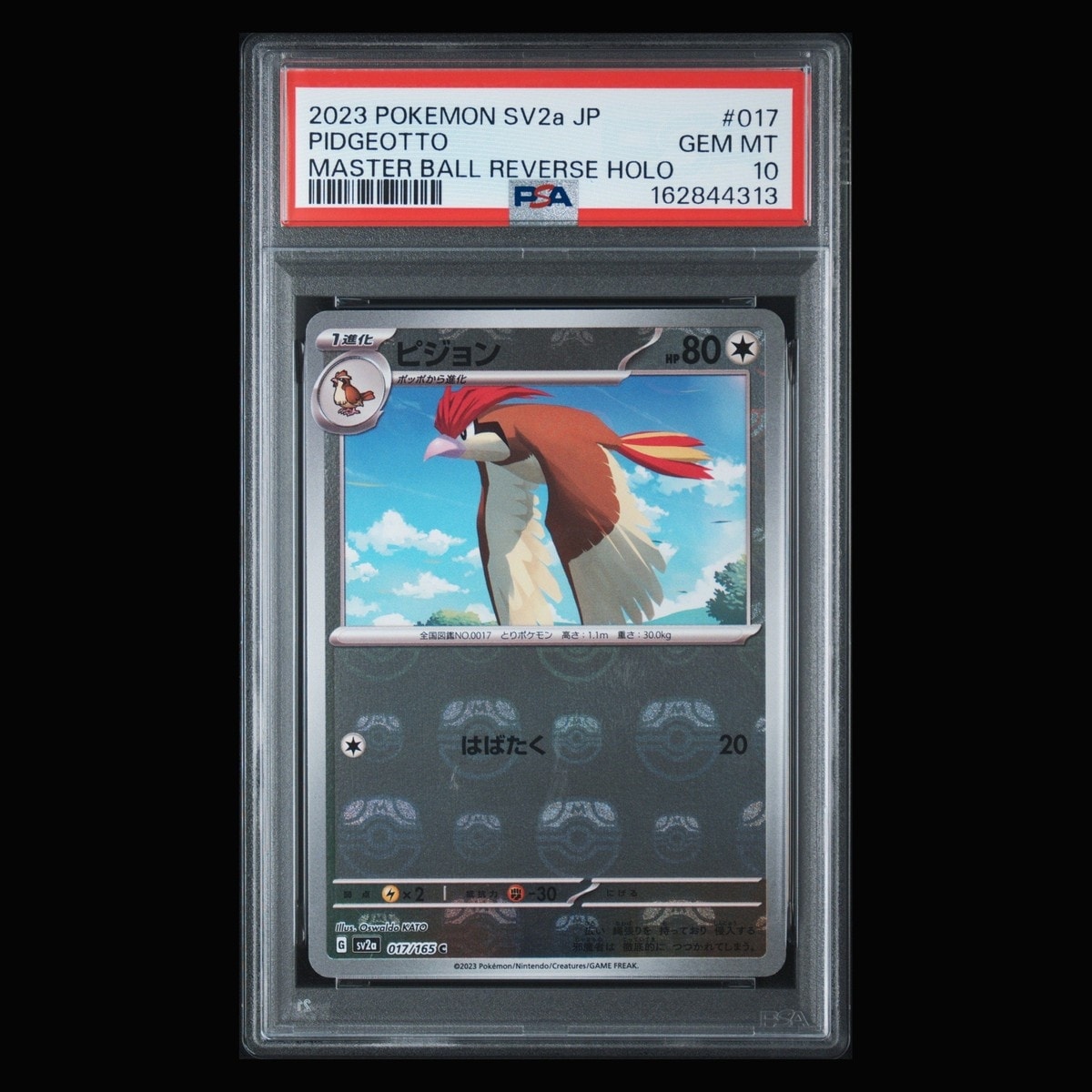 ピジョン C: マスターボールミラー[SV2a 017/165](強化拡張パック「ポケモンカード151」)