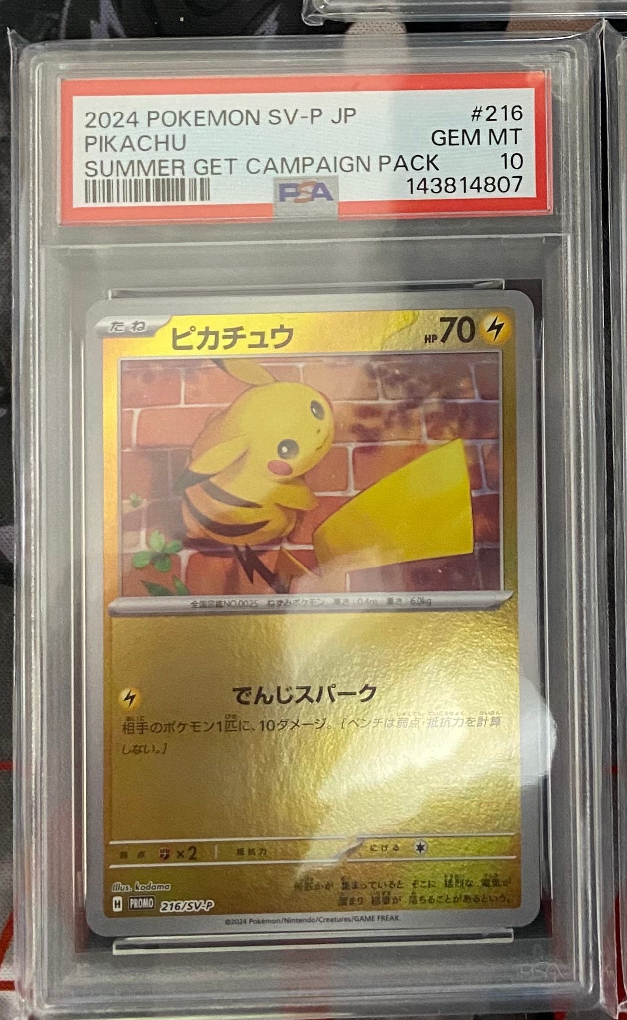 ピカチュウ P [SV-P 216](プロモカードパック「ポケカの夏がキタ