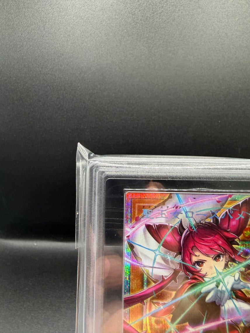 ARS10】聖王女ローズパメラ PSE :オーバーフレーム [UT01-JP008 ARS10】聖王女ローズパメラ PSE :オーバーフレーム [UT01-JP008