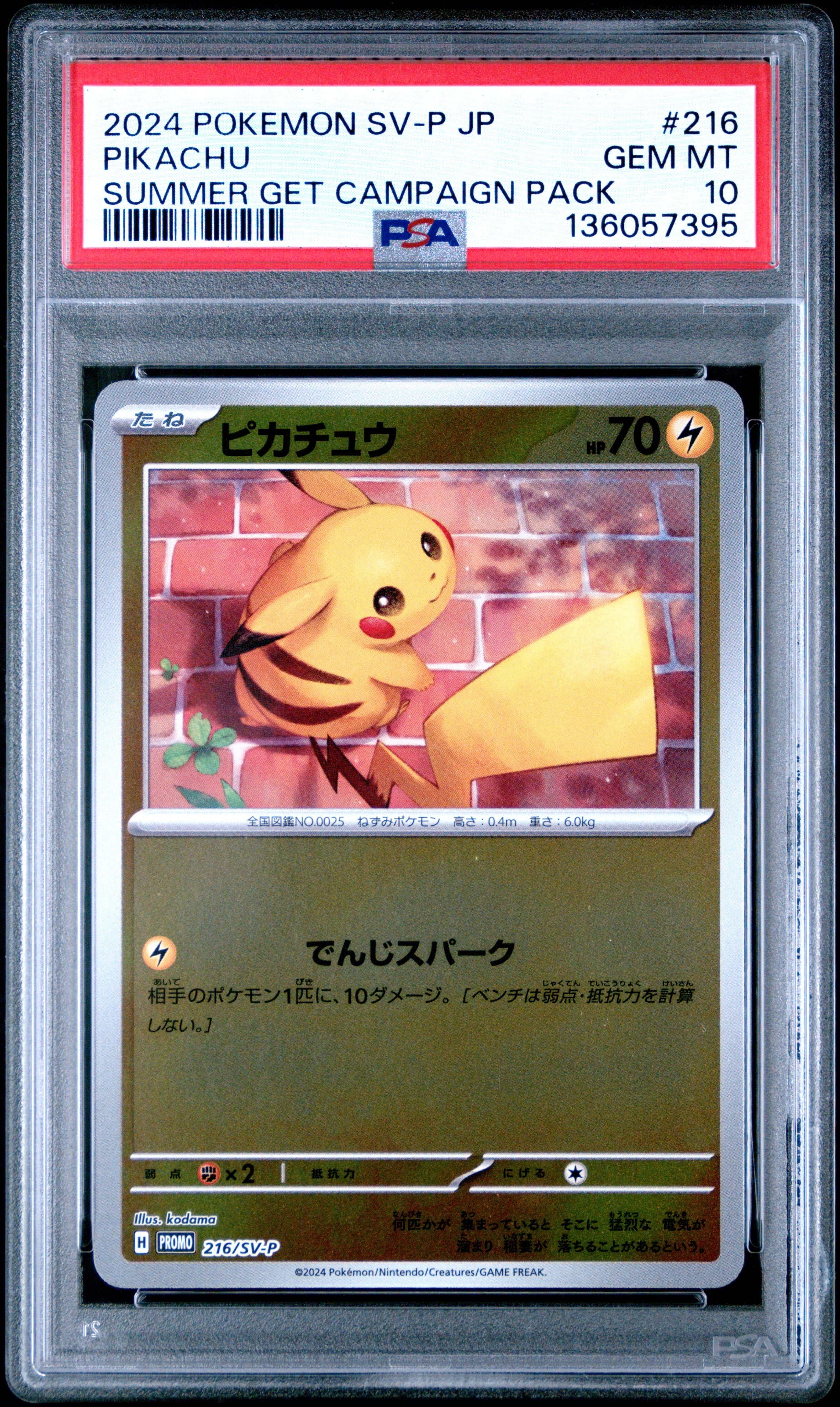 ピカチュウ P [SV-P 216](プロモカードパック「ポケカの夏がキタ!プロモカードGetキャンペーン!」)