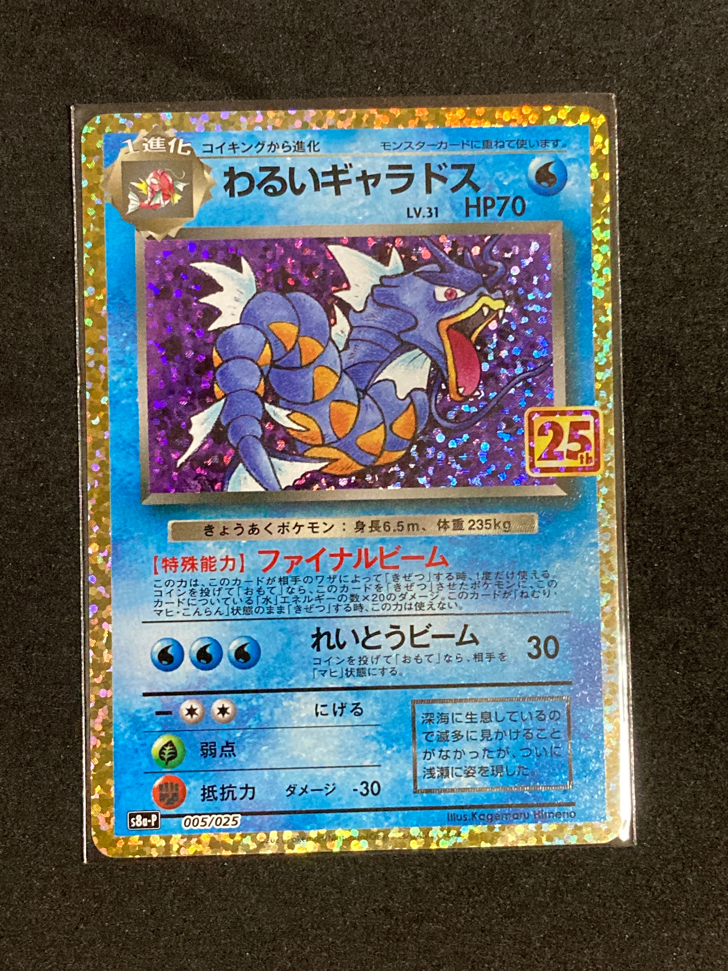 PSA10】わるいギャラドス: プロモ[S8a-P 005/025](プロモカードパック