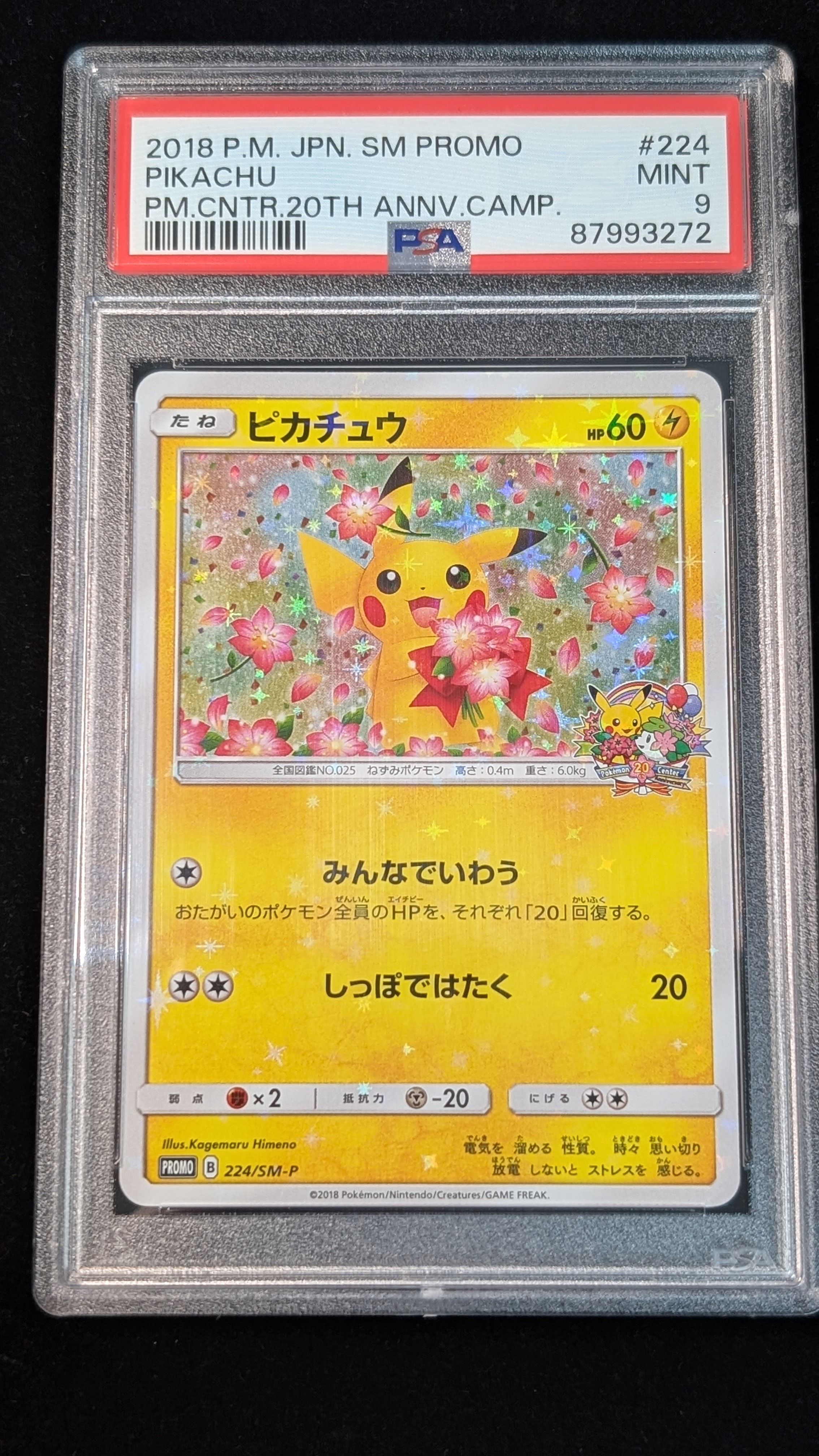 ピカチュウ: プロモ[SM-P 224](プロモーションカード「SM-P」)