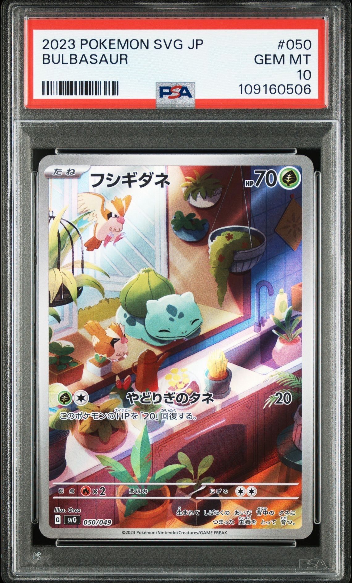 フシギダネ :フルイラスト [SVG 050/049](スペシャルデッキセットex「フシギバナ・リザードン・カメックス」)